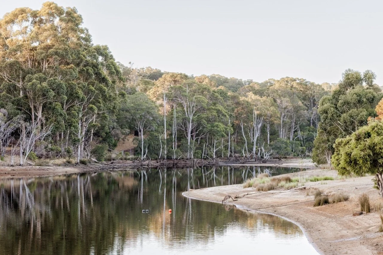 TeySha Retreat - Koorabin96_View-4 Large.jpeg
