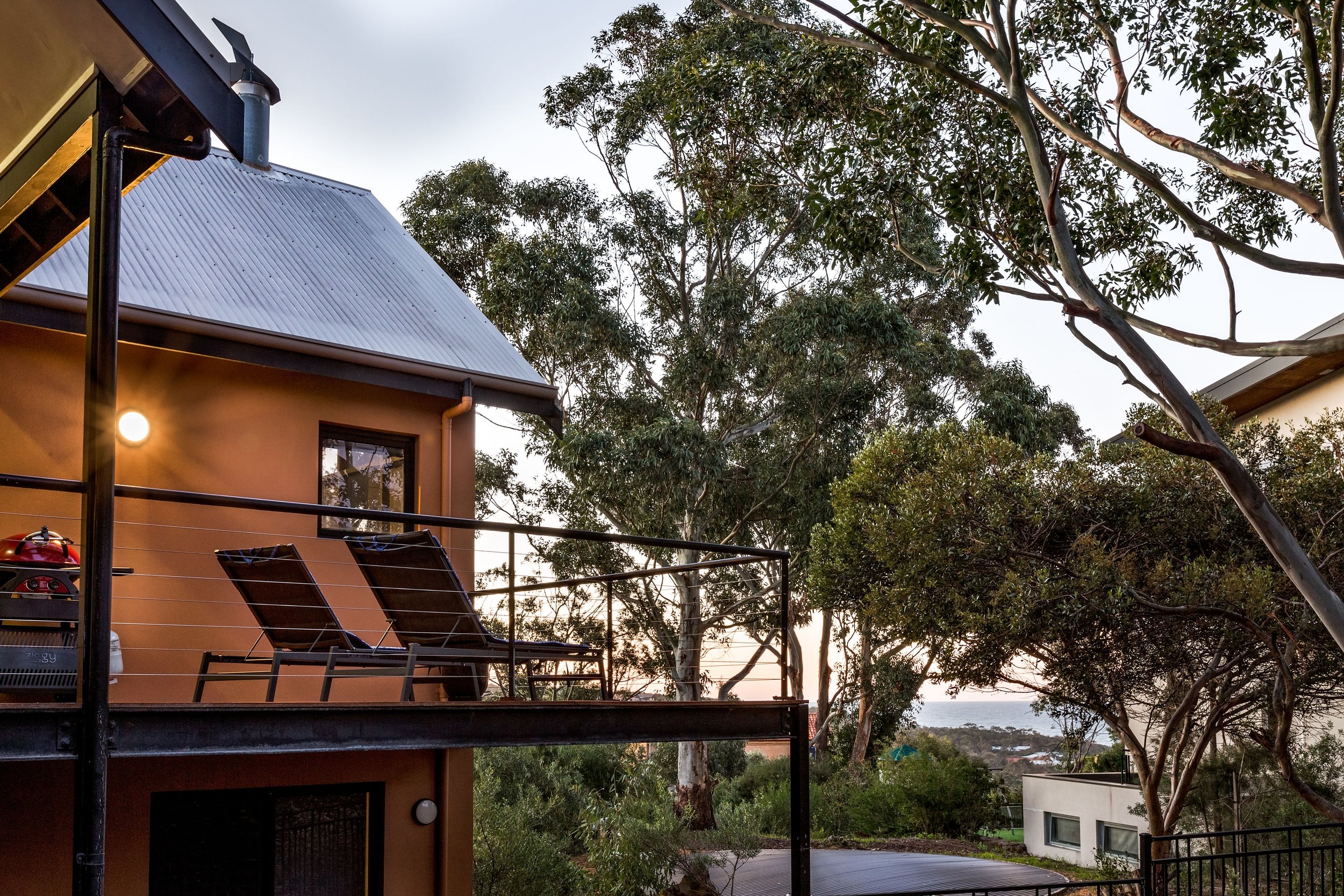 Blue Pearl - IMG_3739.JPG