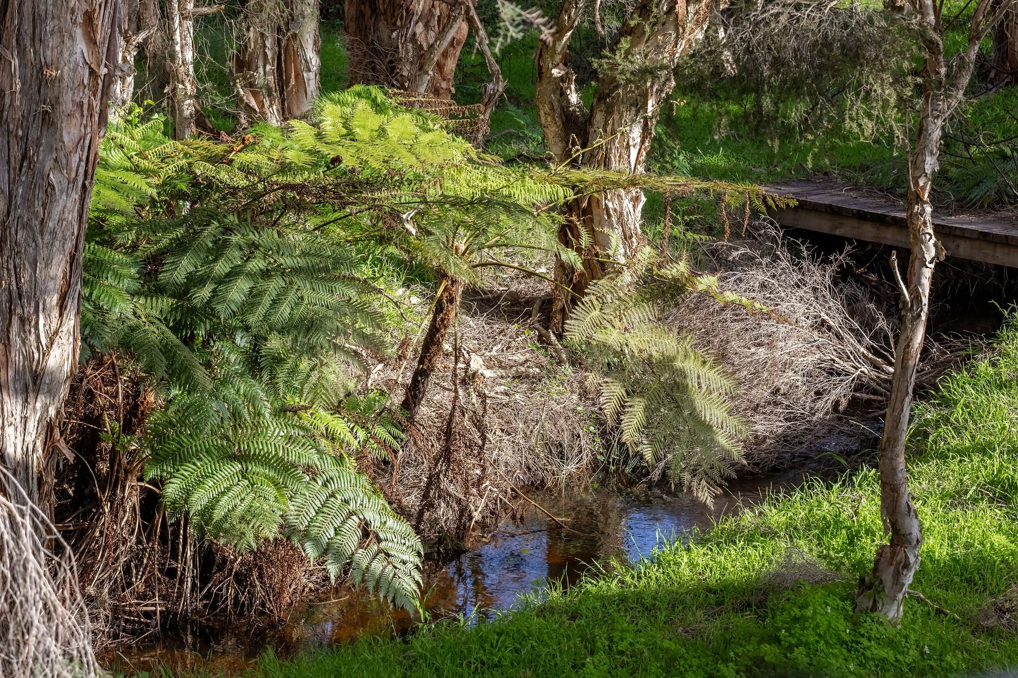 TarnView6_Externals_Bushland-1.jpg