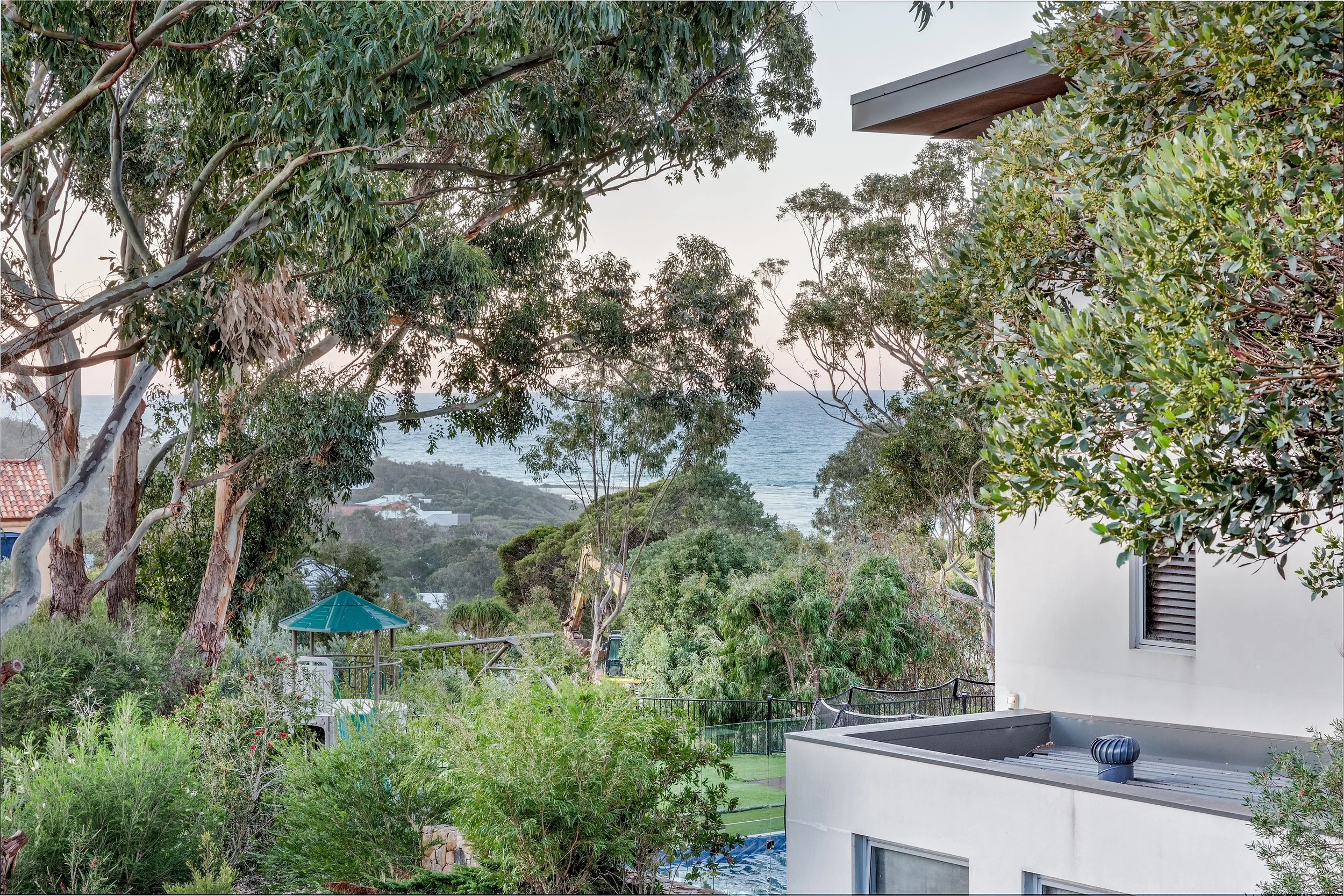 Blue Pearl - IMG_3725.JPG