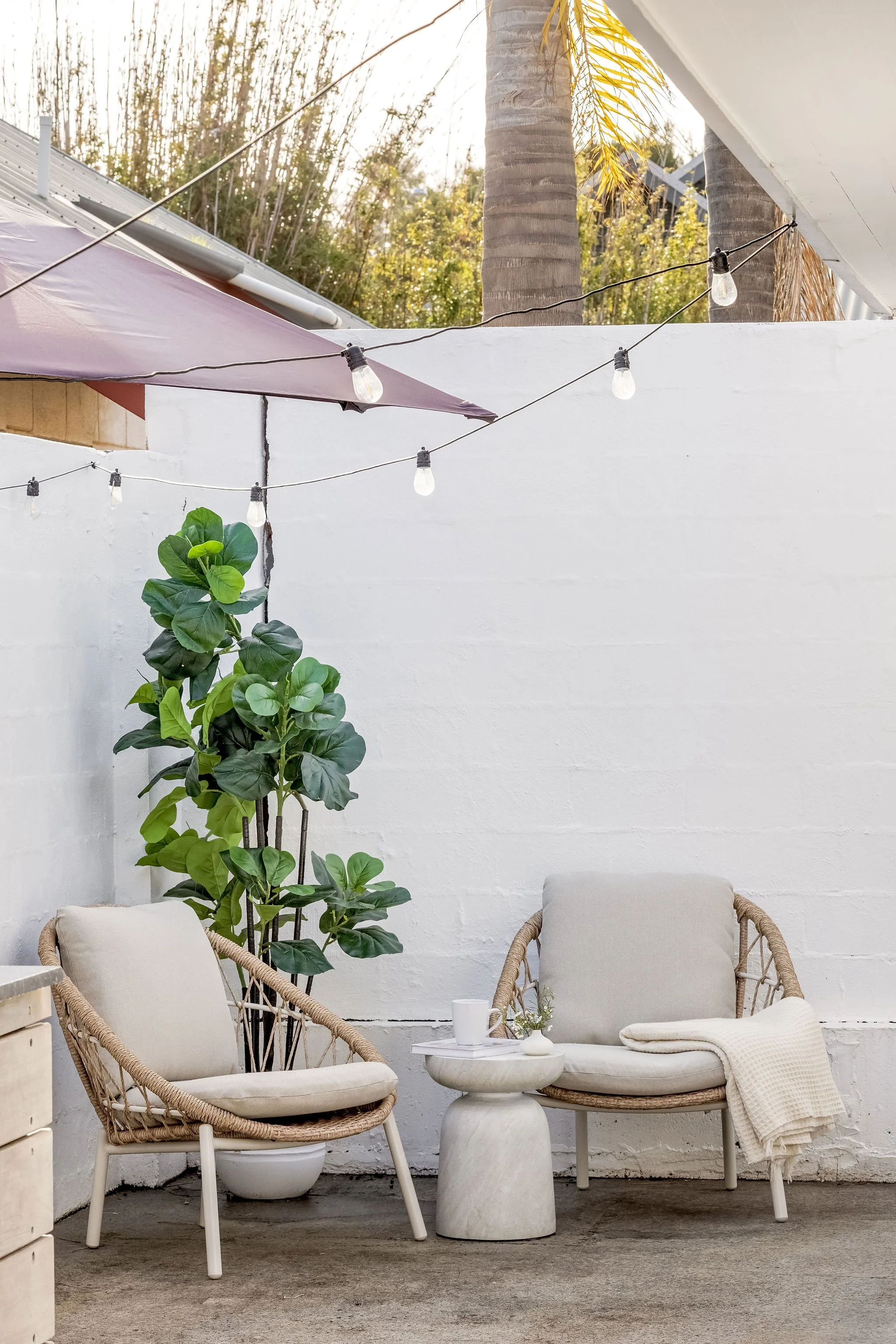 TarnView6_Externals_AlfrescoZone-4.jpg