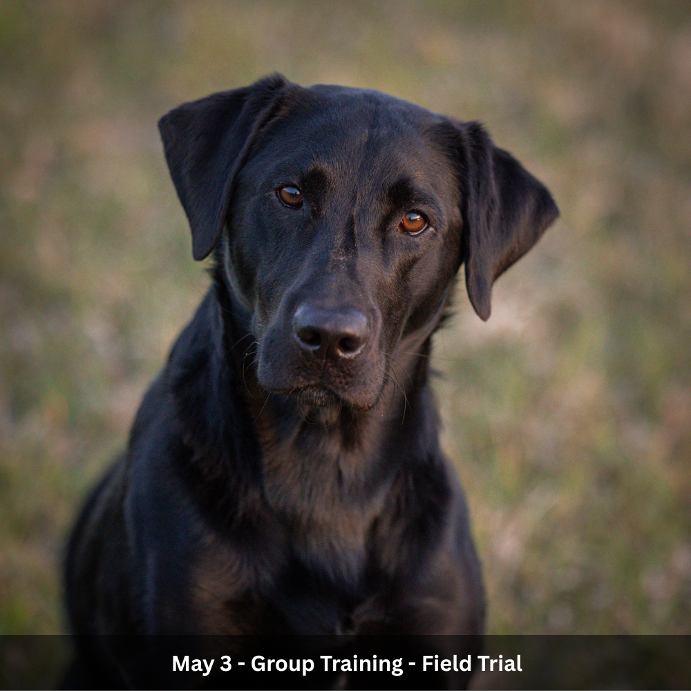 July 1st - Group Training - Hunt Test (6).png