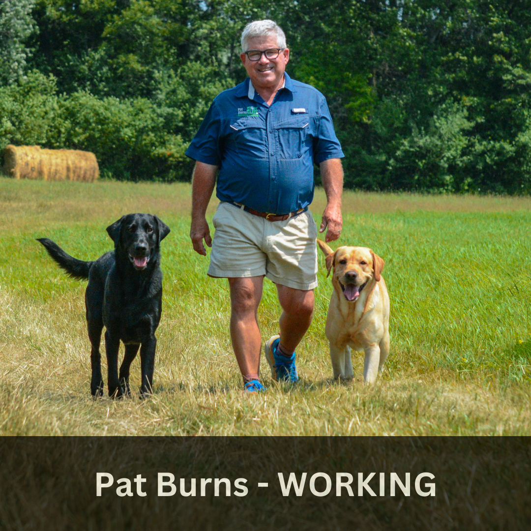 Pat Burns - WORKING (1).png