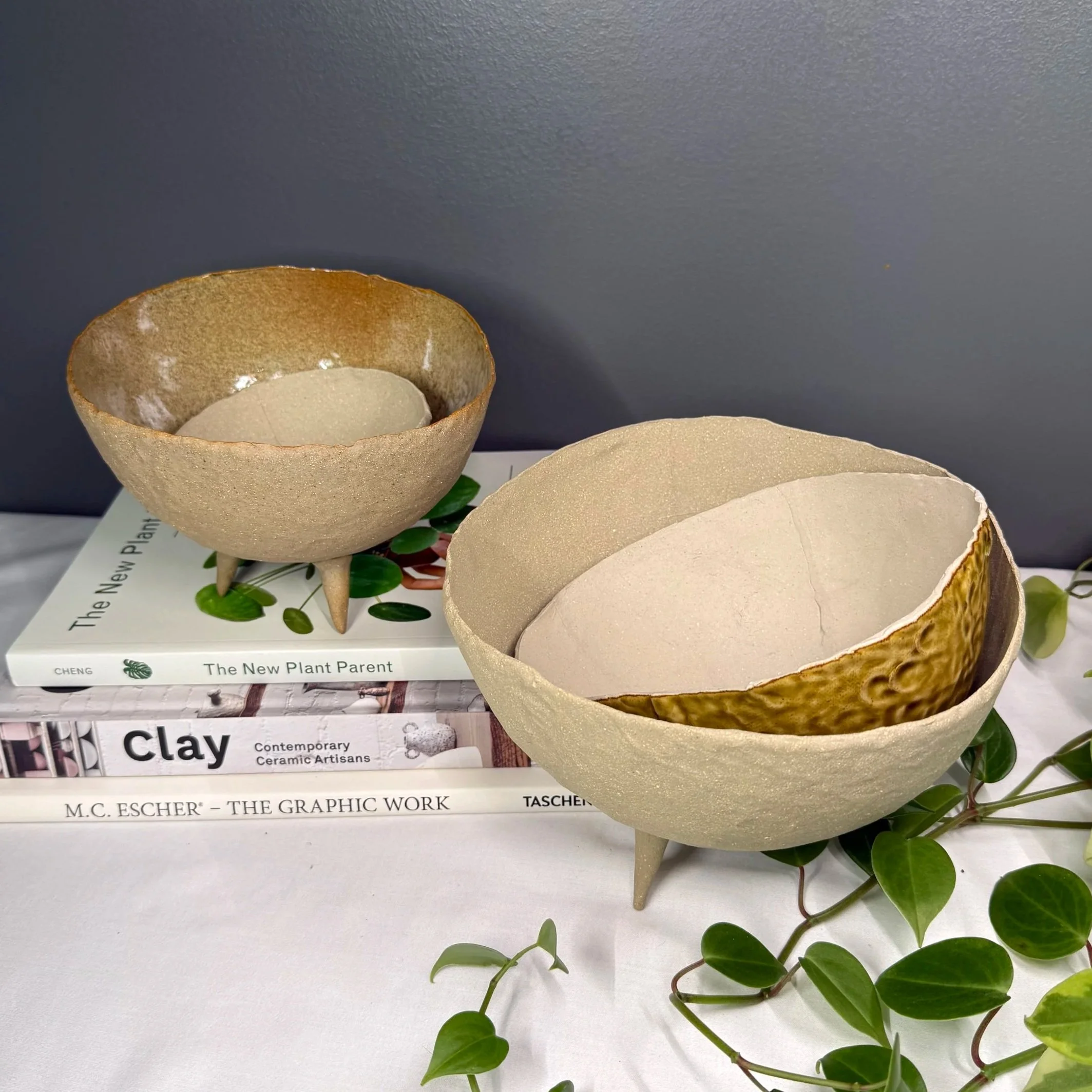 Colony- 4B