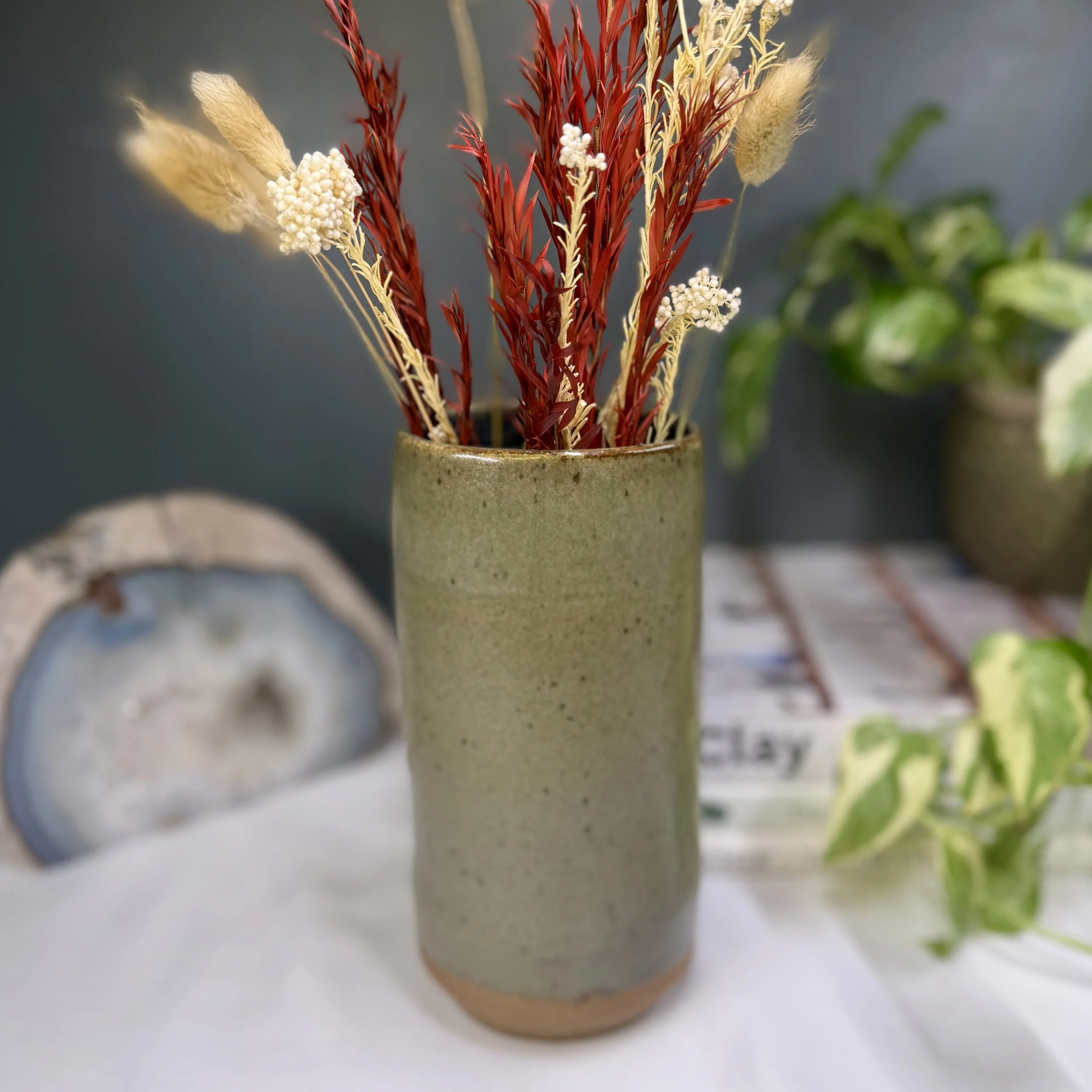 Algae Vase