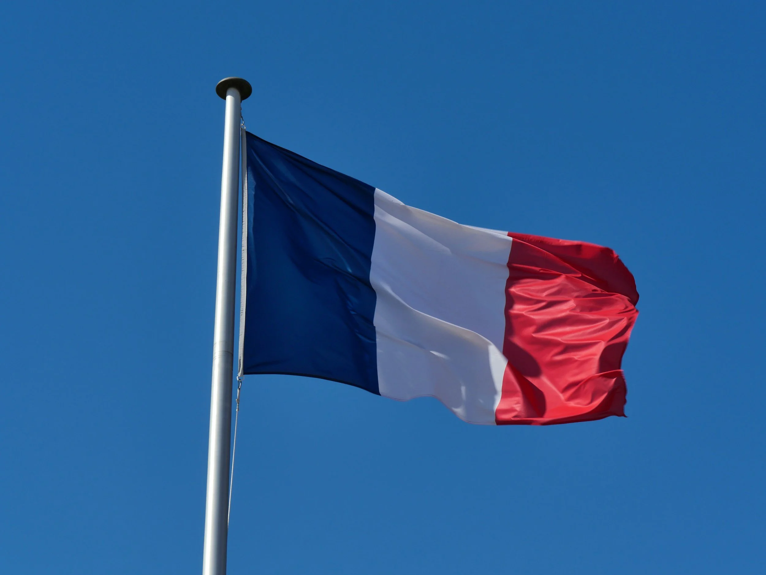 French flag — French citizenship photos Los Angeles — Karen Vaisman Photography