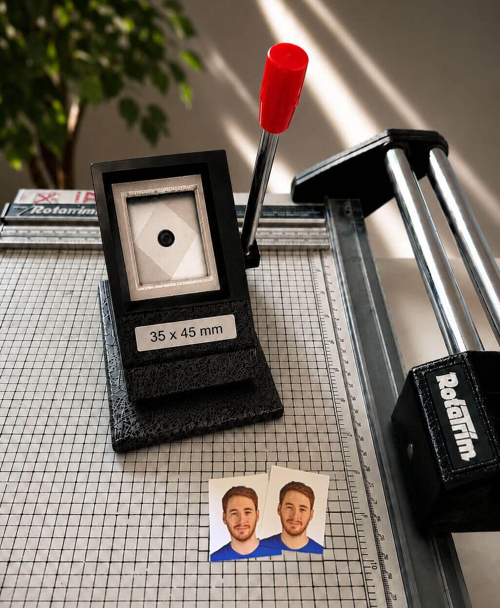Italian passport photos cut to 35x45mm size for Italian visas, Italian citizenship by descent, dual citizenship and Italian passport applications in Los Angeles