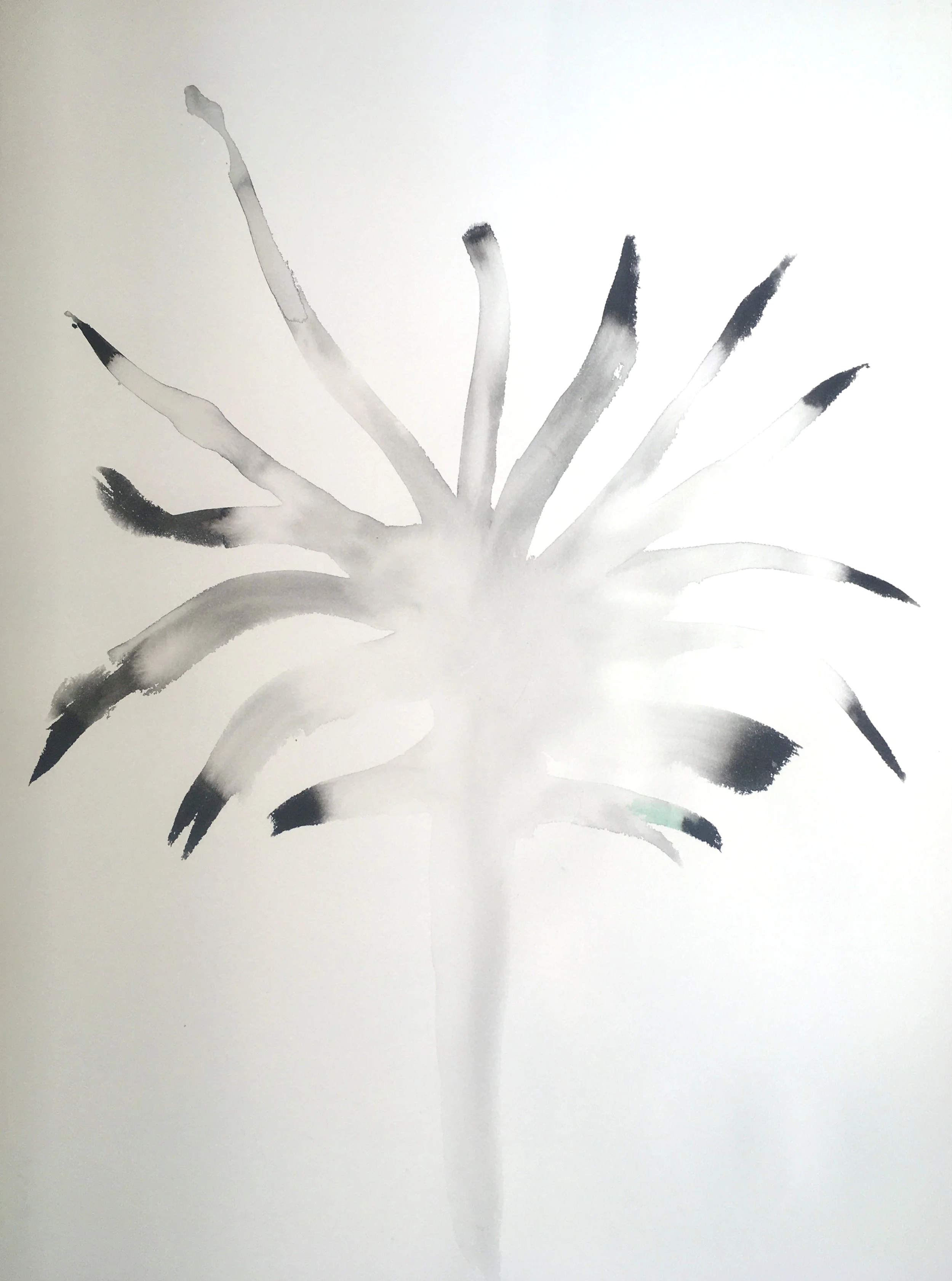 Seaweed - Japanese ink painting