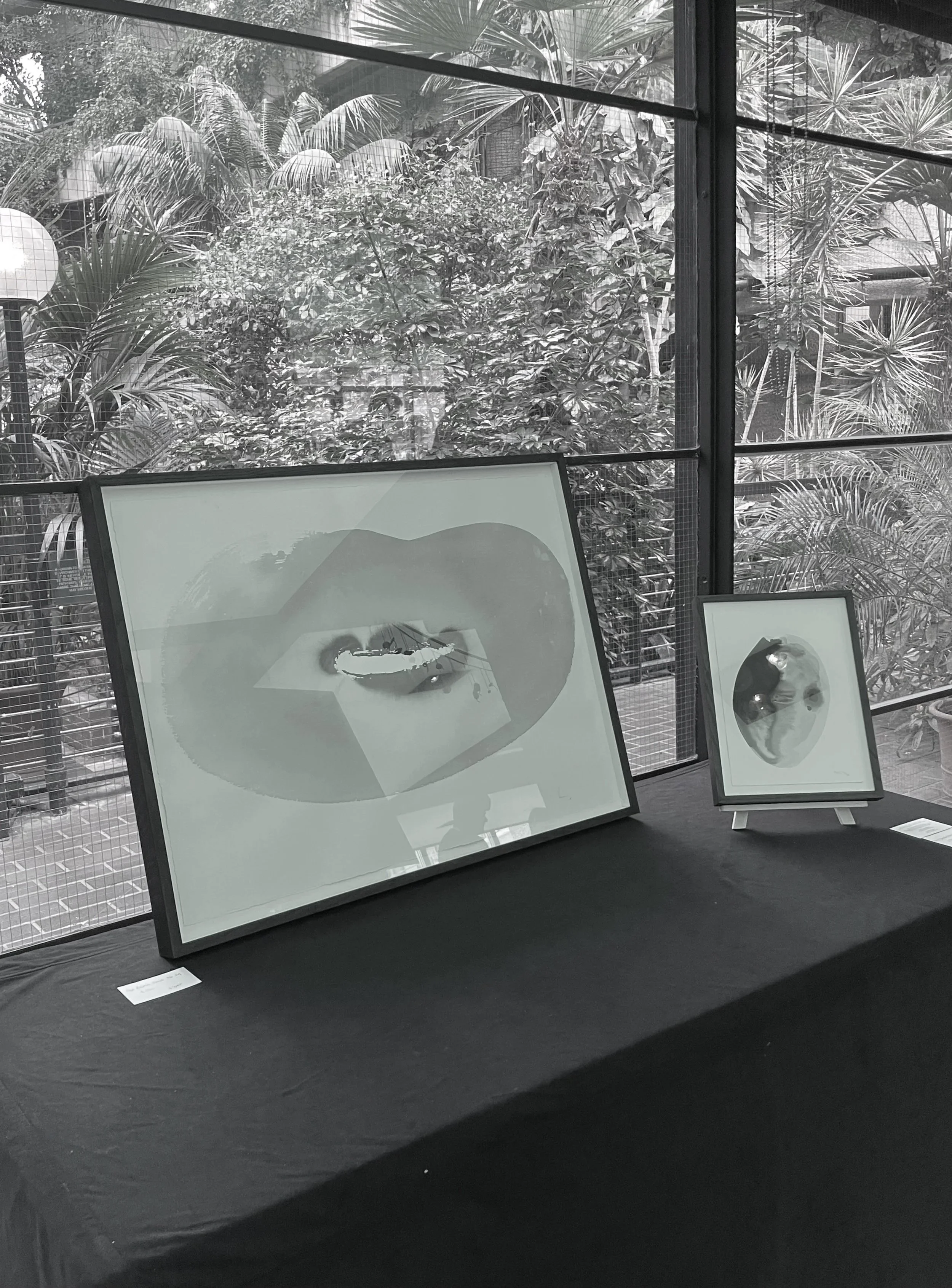 Exhibition Into The Seeds Of Time by Vivienne Schadinsky and OmVed Gardens at The Barbican in London for the Bean Summit  - The Food Foundation