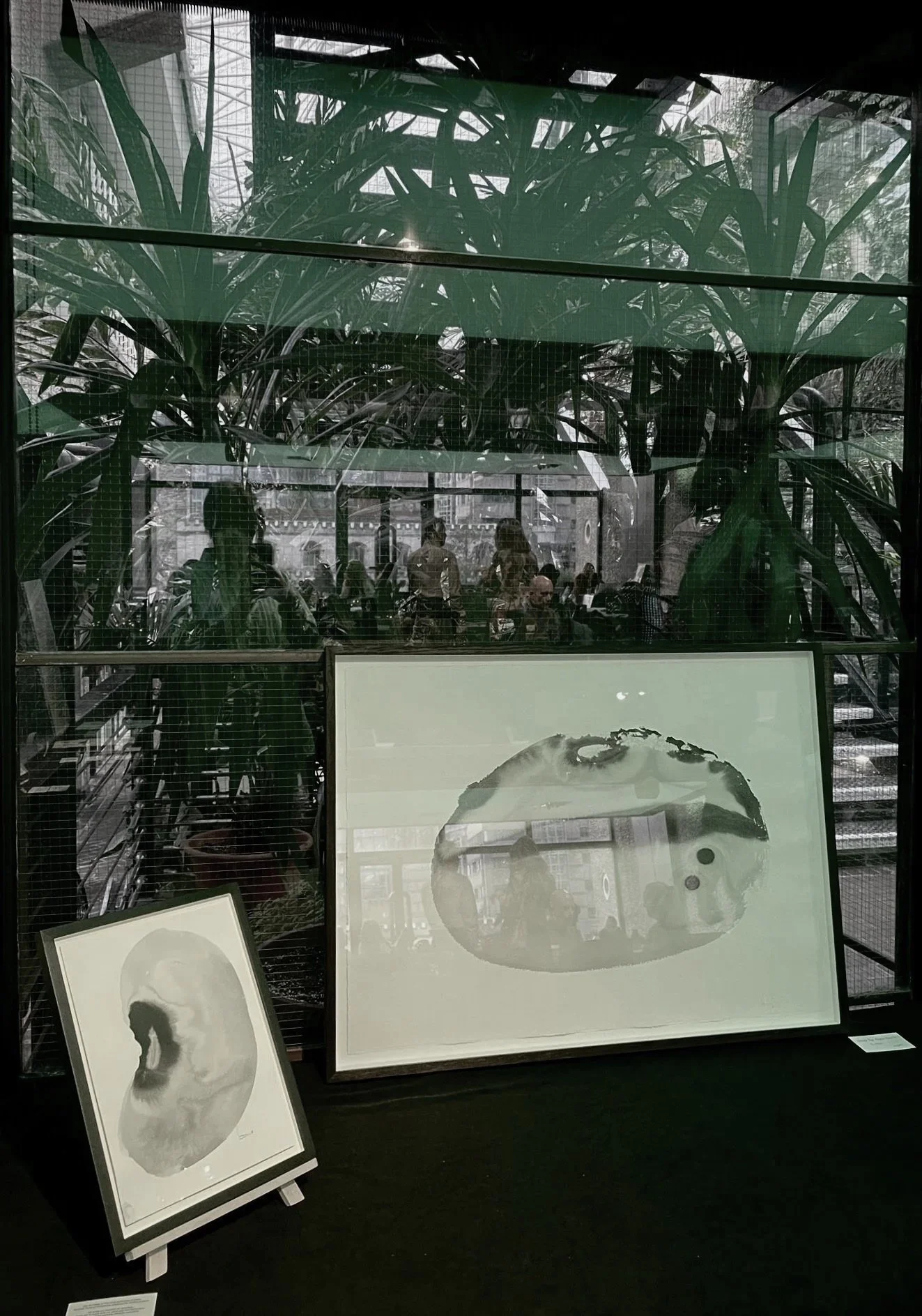 Exhibition Into The Seeds Of Time by Vivienne Schadinsky and OmVed Gardens at The Barbican in London for the Bean Summit  - The Food Foundation