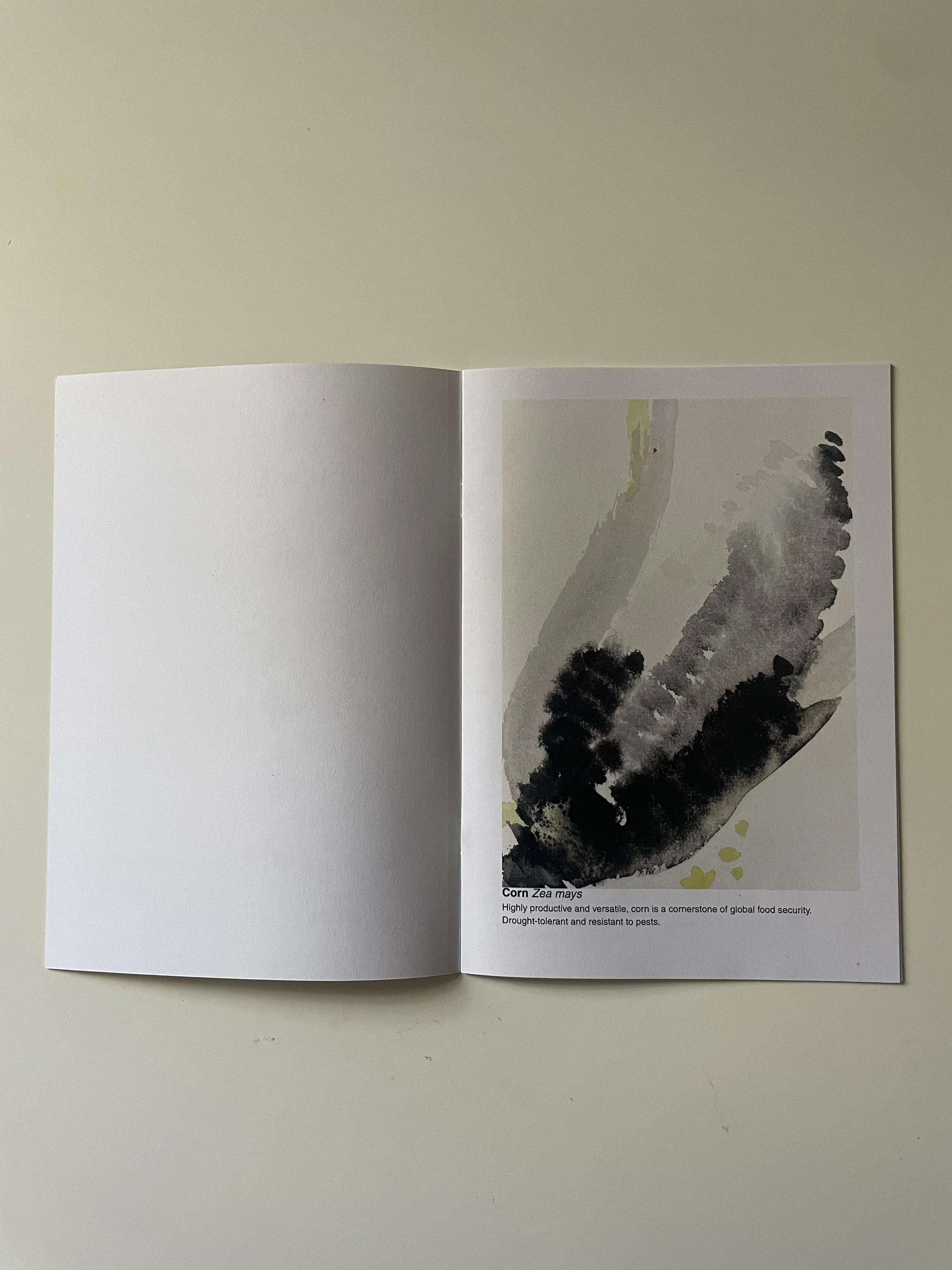 Future Food - Viridis . Zine published by What The Silence Grew Fleet and Rhine Publishing Vivienne Schadinsky