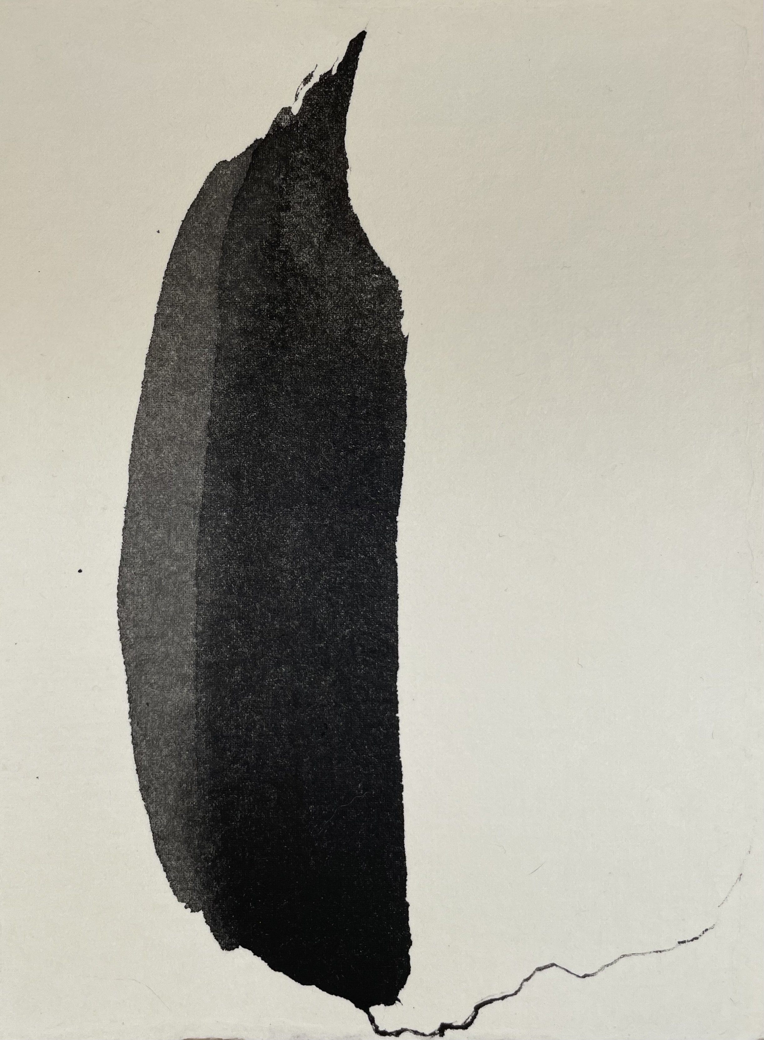 Mange tout - Japanese ink painting
