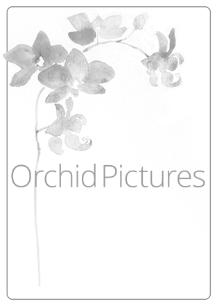 ffcdae62_392d_4248_927d_0dcfff8f5afe_xwide.png