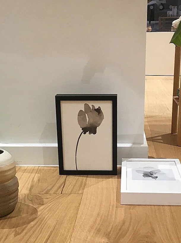 Atelier Parallel - Prints
