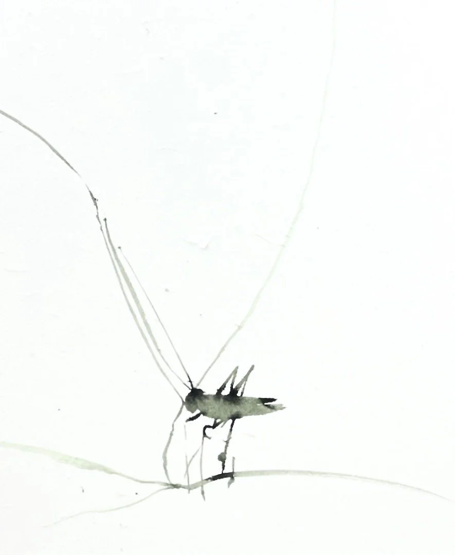 IMG_2031.jpeg