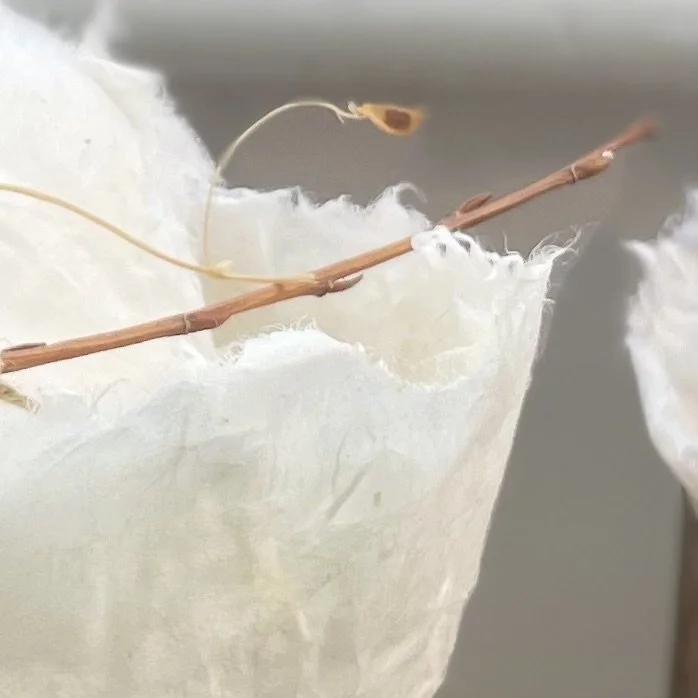 Japanese paper sculptures by Vivienne Schadinksy