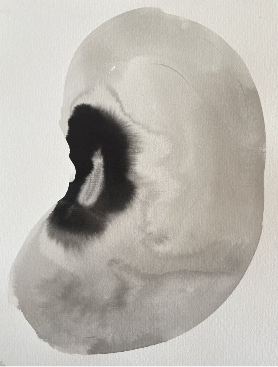 Butter bean - Japanese ink painting