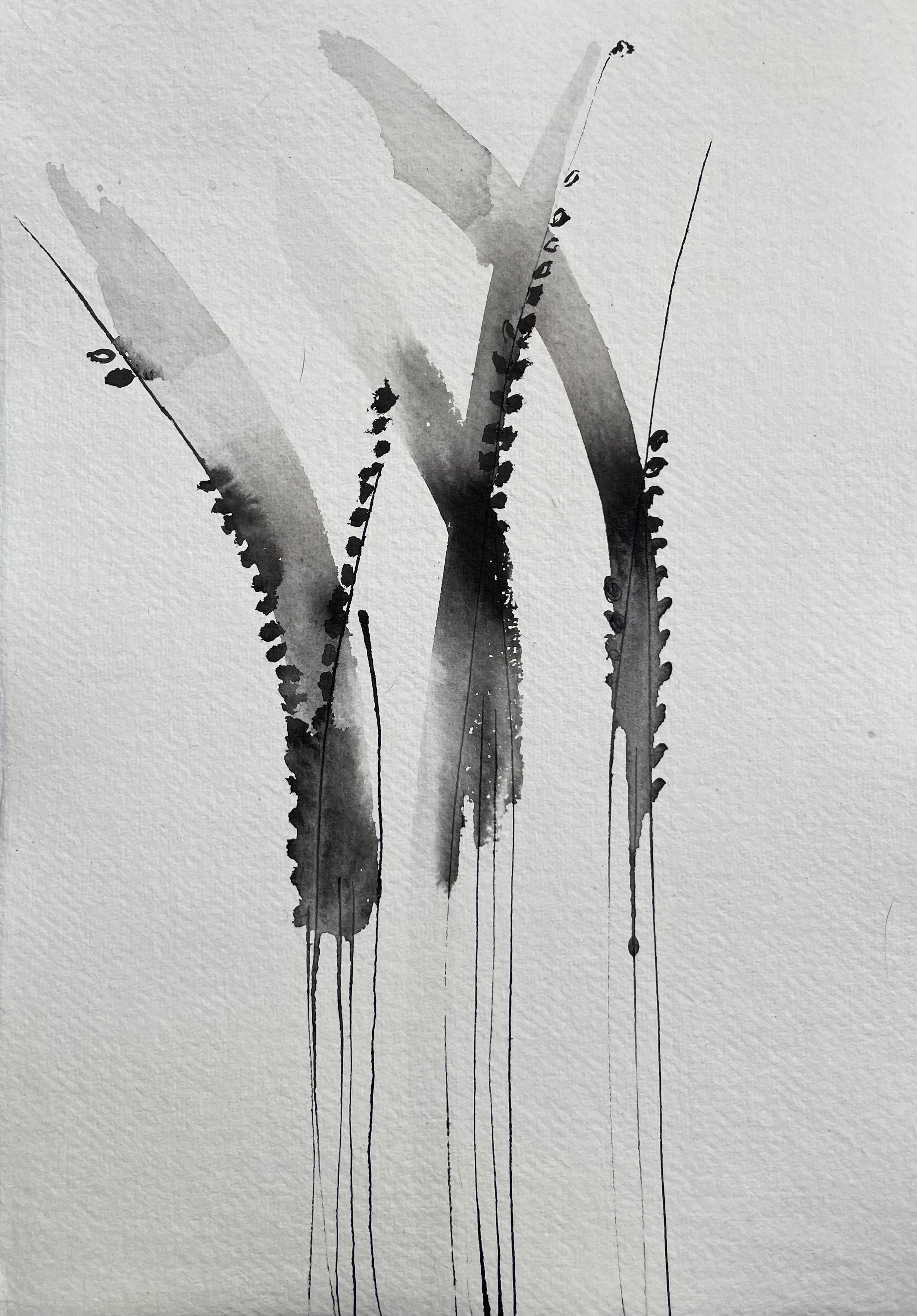 Rice - Japanese ink painting