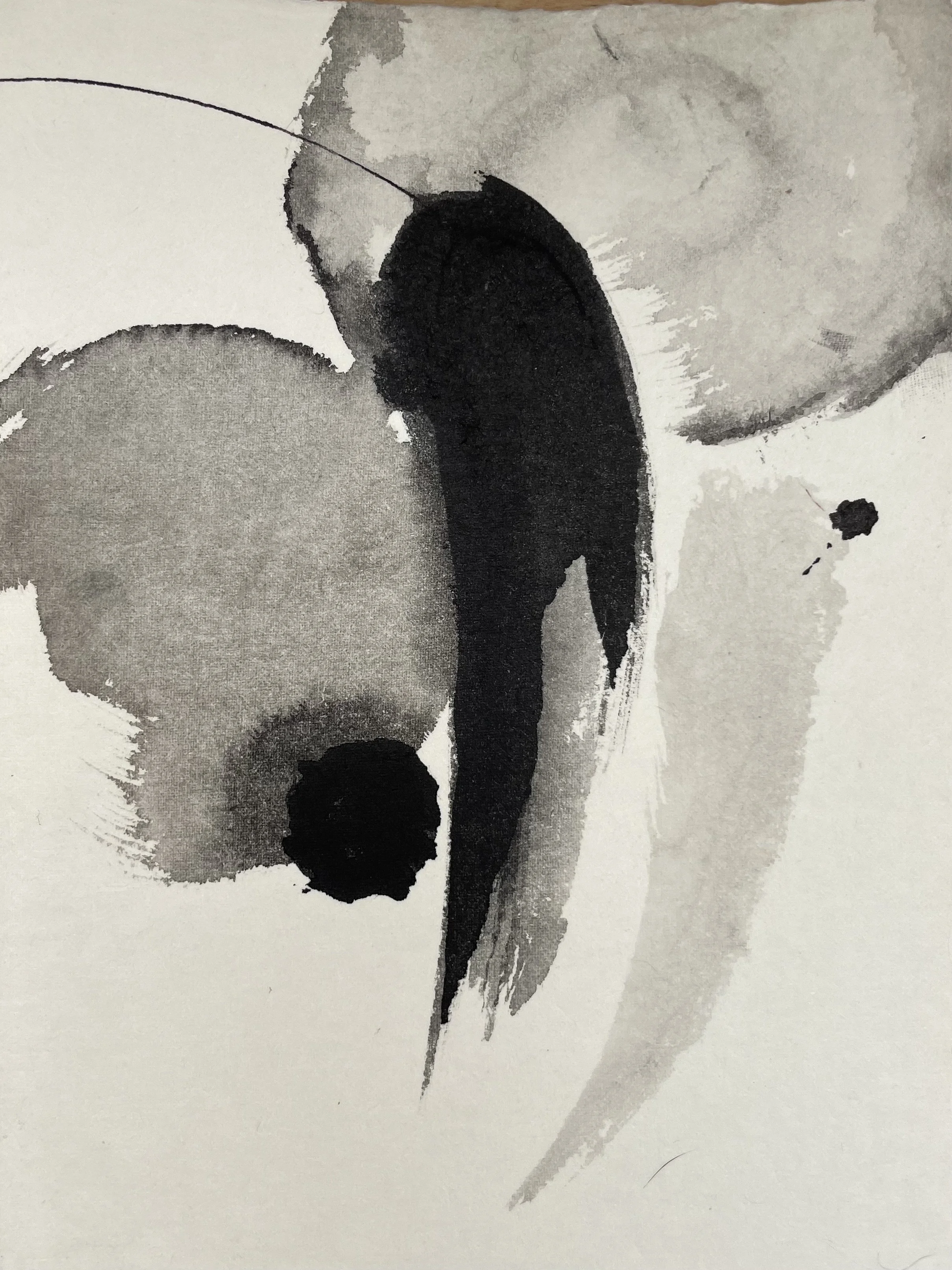 Ink painting garden peas by Vivienne Schadinsky