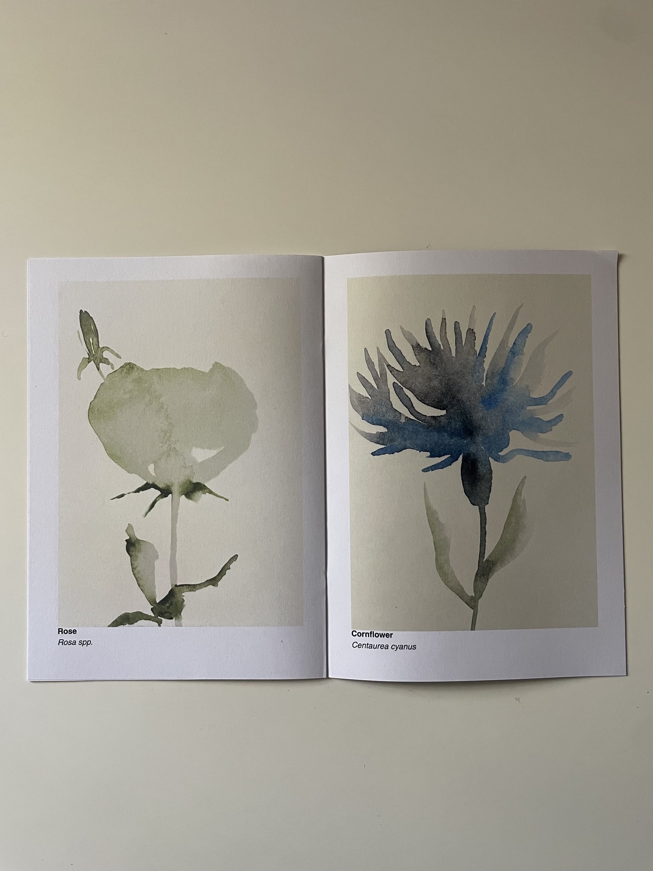 Edible Flowers - Chloris . Zine published by What The Silence Grew Fleet and Rhine Publishing Vivienne Schadinsky