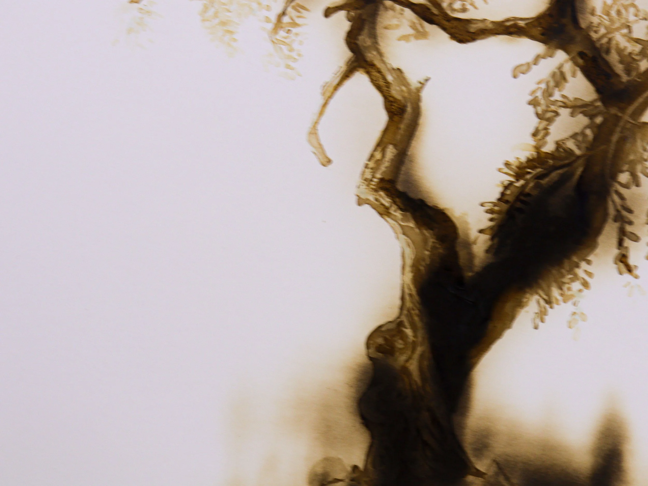  Sumud #4 détail .jpg