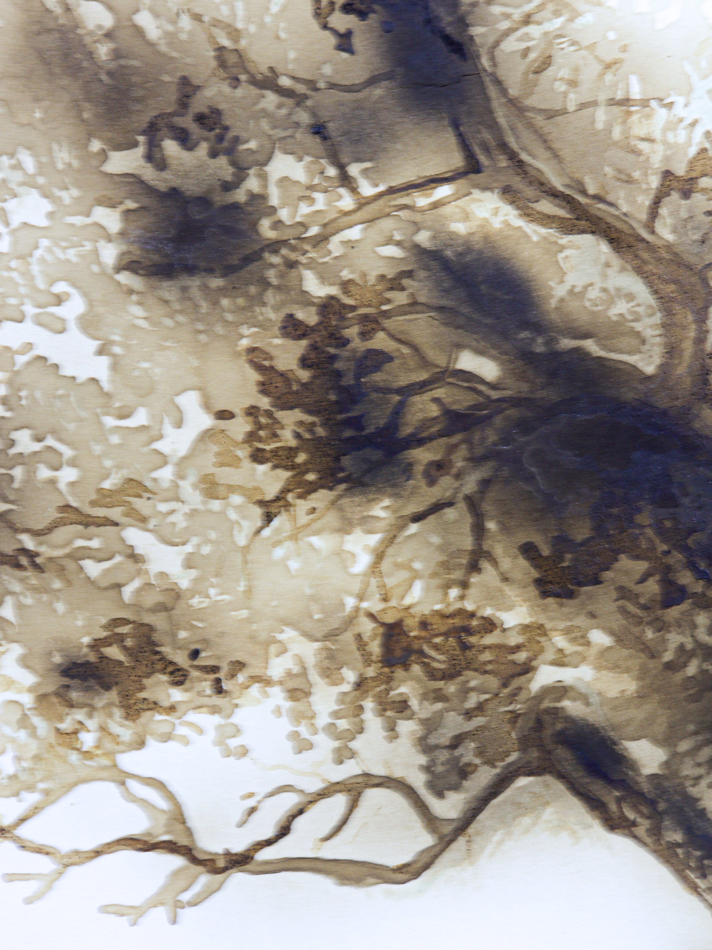 Sumud #2 detail 2.jpg