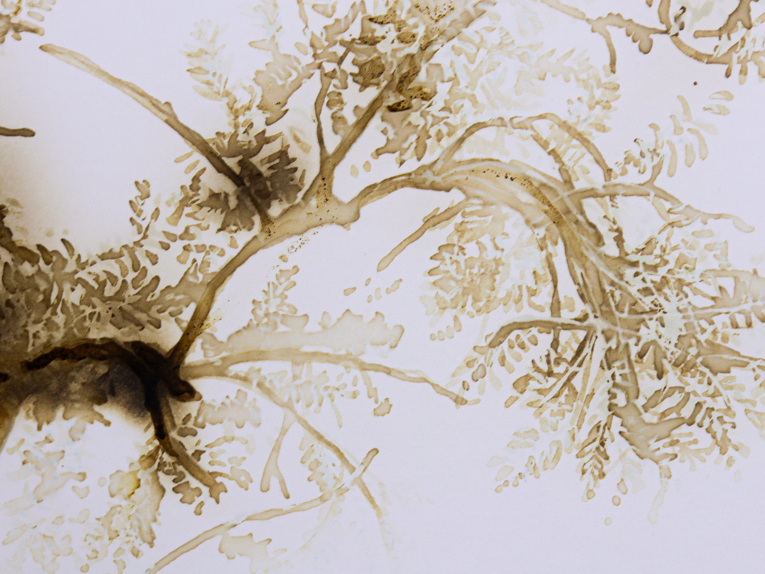  Sumud #4 détail 2.jpg