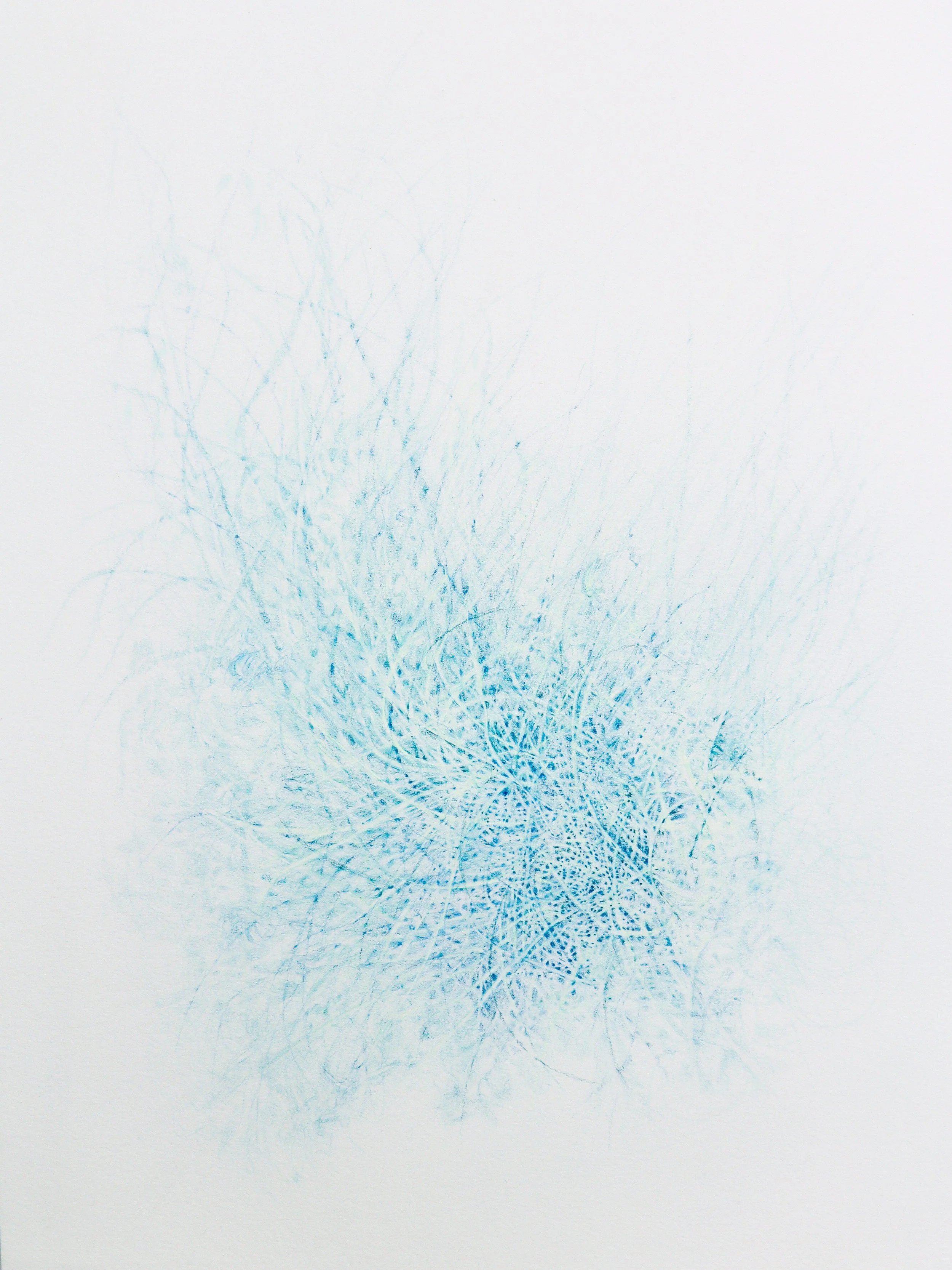 komorebi #5 (les herbes) détail 4.jpg