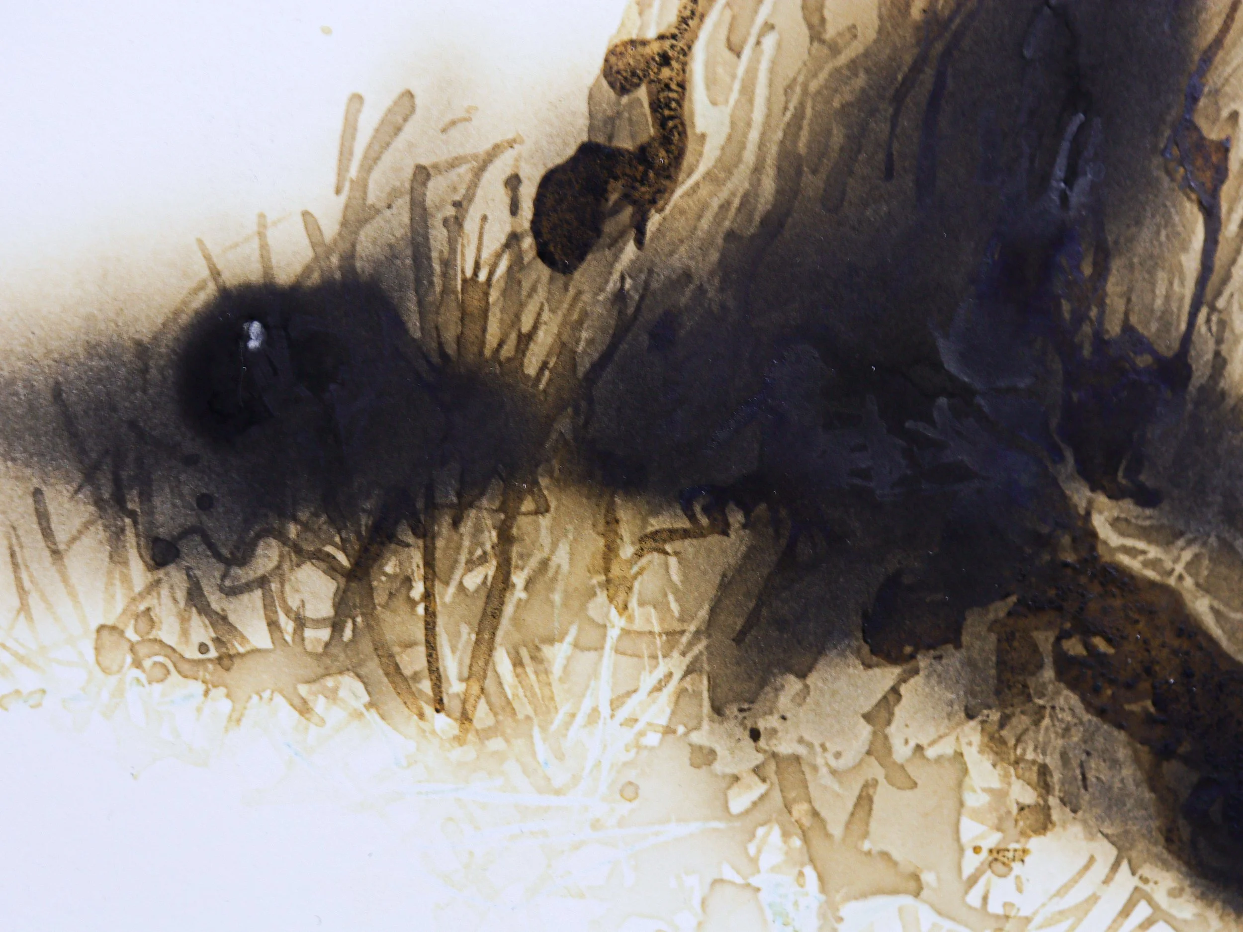  Sumud #3 détail 2.jpg