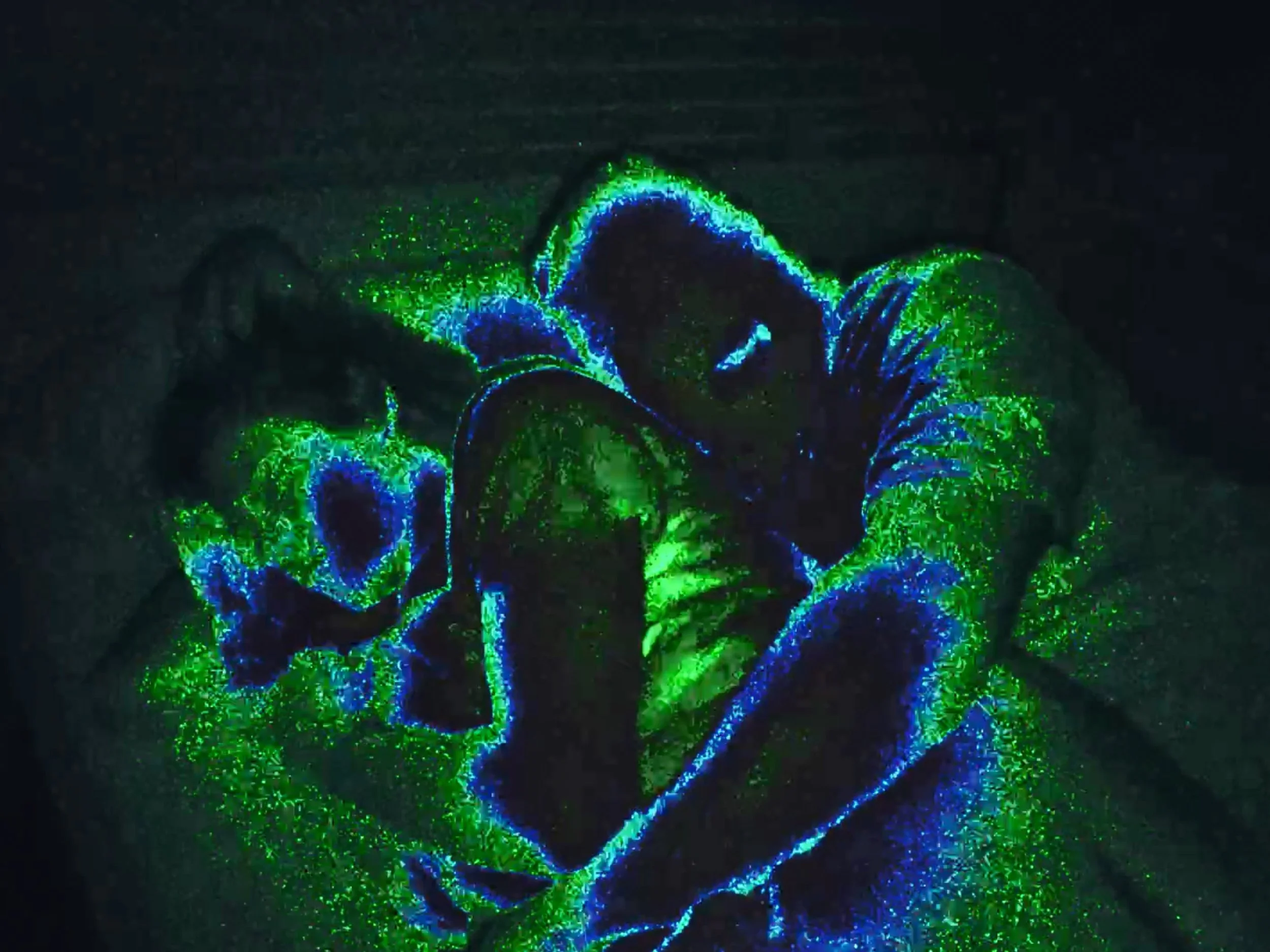 MAGGI & BACKERBSEN (MV)