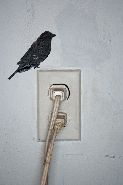 Bird_Def-31.jpg