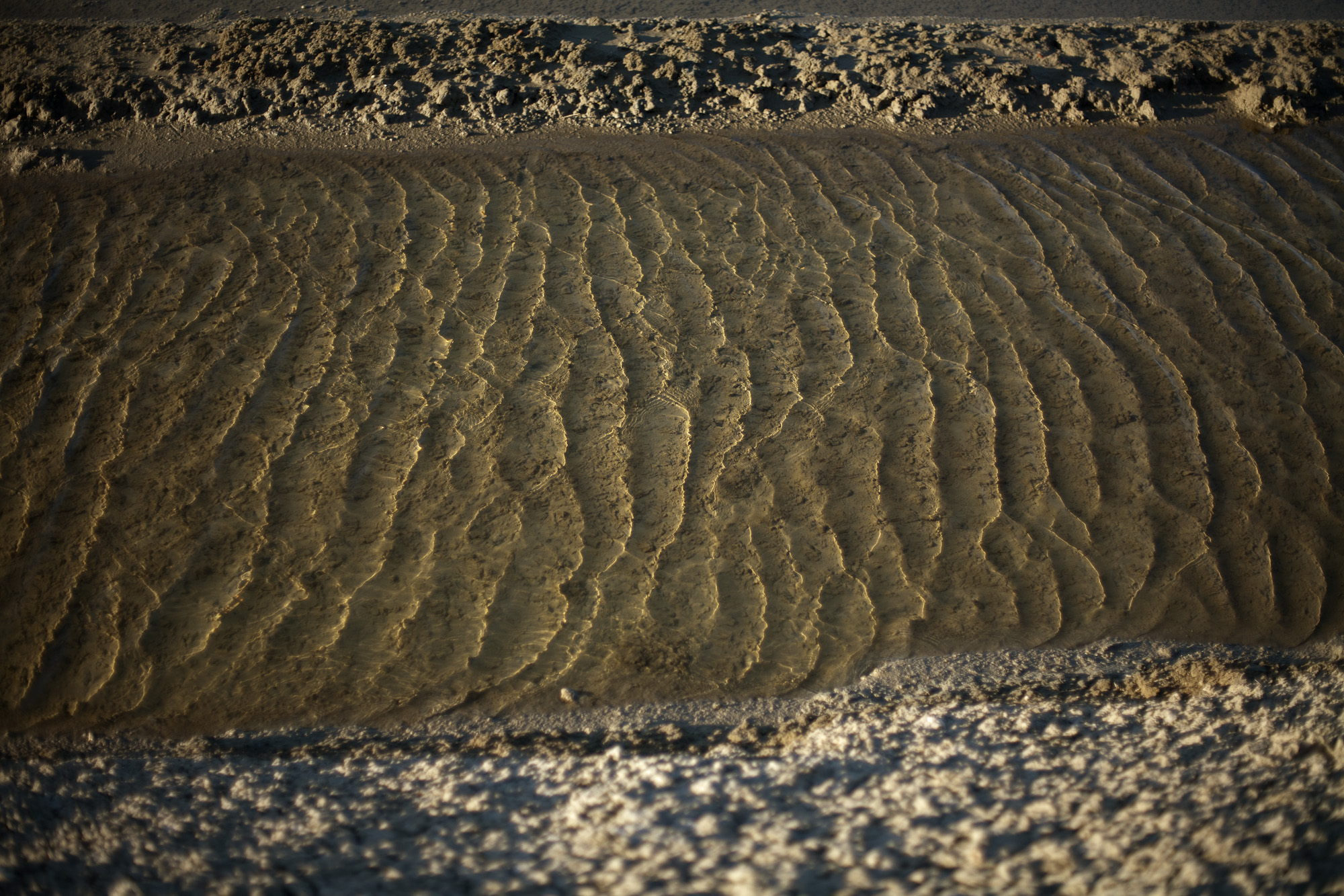16/8/12 Loix: Emmanuel Mercier's salt fields outside the village of Loix, �le de R�.