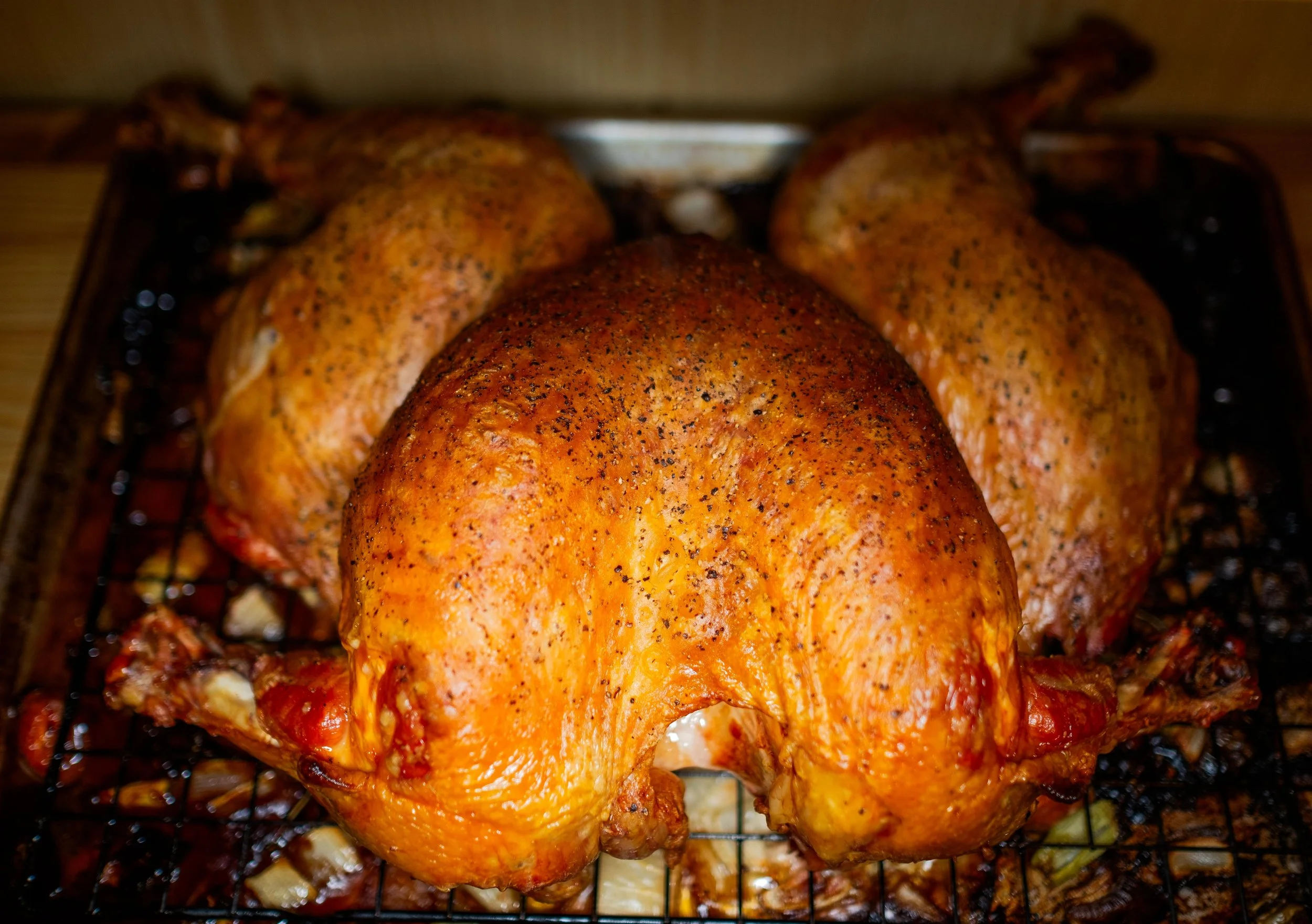 Roasted Chicken, Brooklyn