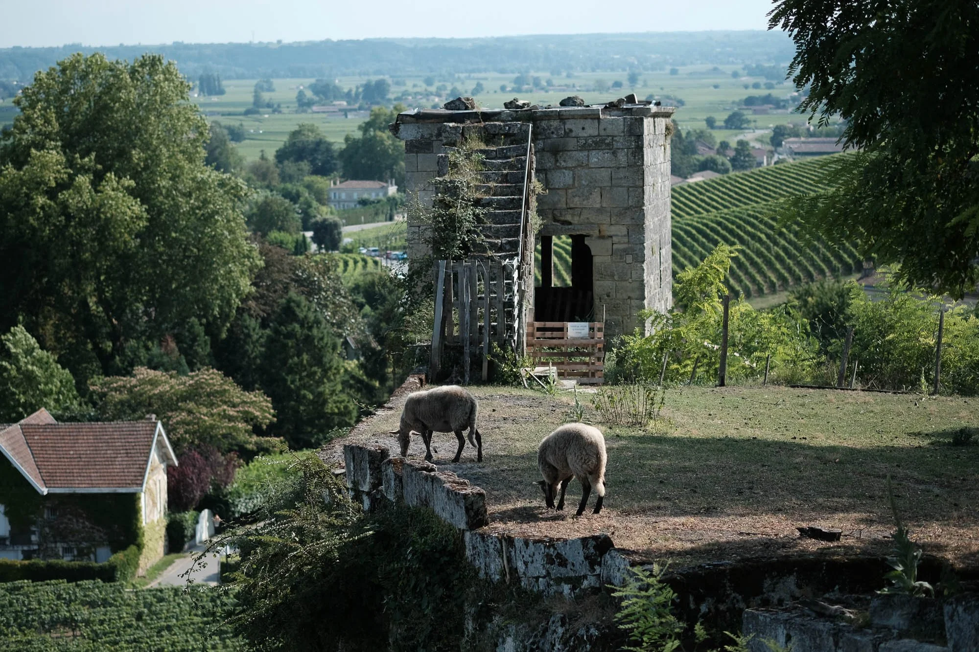 Saint Emilion, France
