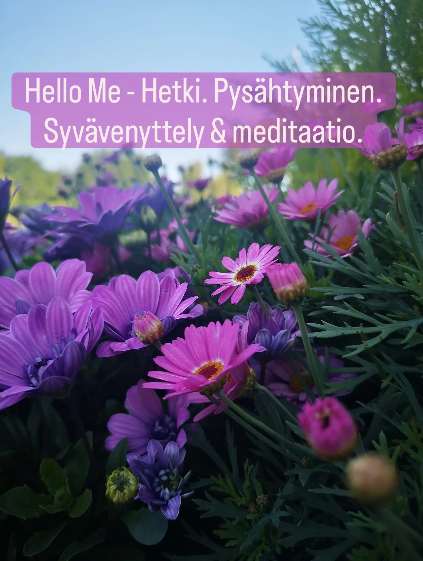 Ennen kuin arki alkaa painaa, lue t&auml;m&auml; 😍🙏

Koetko, ett&auml; sinun pit&auml;isi olla kokoajan enemm&auml;n? 
Pysty&auml; enemm&auml;n. Jaksaa enemm&auml;n.

Olla tehokkaampi ty&ouml;paikalla.
Olla enemm&auml;n l&auml;sn&auml; perheelle ja