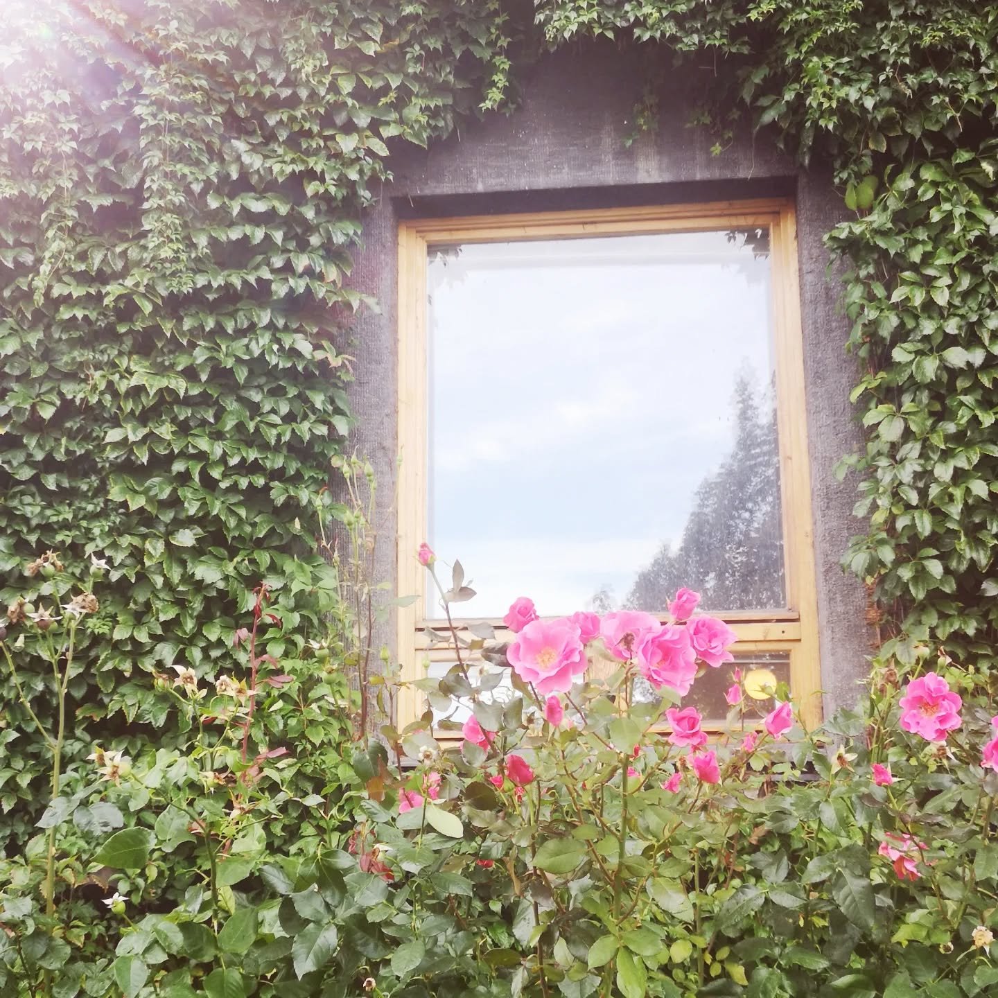 Kerro kerro kuvasti, mik&auml; on tunti toivehin?

Kun ulkona sulatellaan viel&auml; talven lumikasoja, niin t&auml;&auml;ll&auml; katseet k&auml;&auml;ntyv&auml;t jo hiljalleen ensi syksyyn ja tulevaan tuntitarjontaan.

Omanlainen prosessinsa on muo