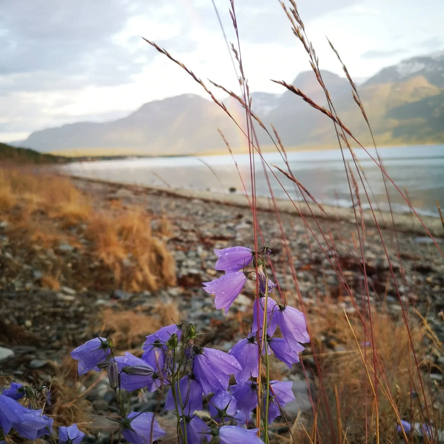 Pienryhm&auml;tunti Feminine Yin&nbsp;&ndash; Yoga:
antaa naiselle levollisen pys&auml;htymisen itsen &auml;&auml;relle🦋

Kuulen tunnilla lempe&auml;&auml; tuhinaa ja rauhallisia huokauksia. N&auml;en suljettuja silm&auml;luomia, naisia yogamattojen