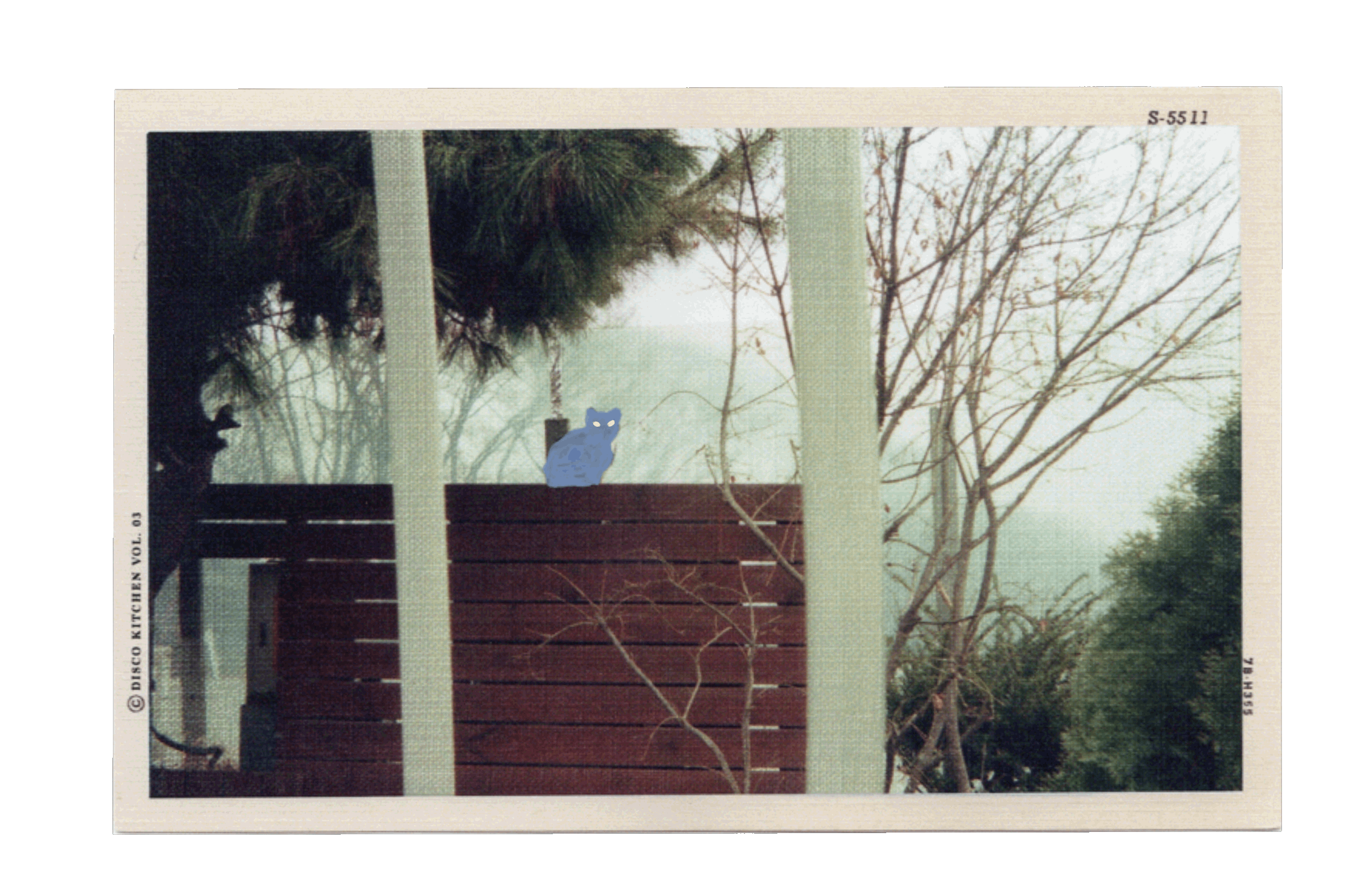 IL GATTO by Gina Angelone