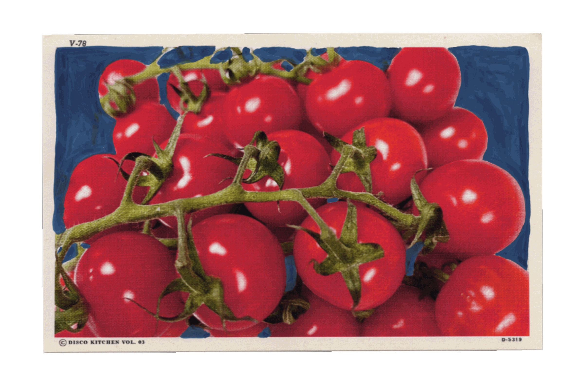 SIGNS OF LIFE by Elizabeth Rae Bullmer