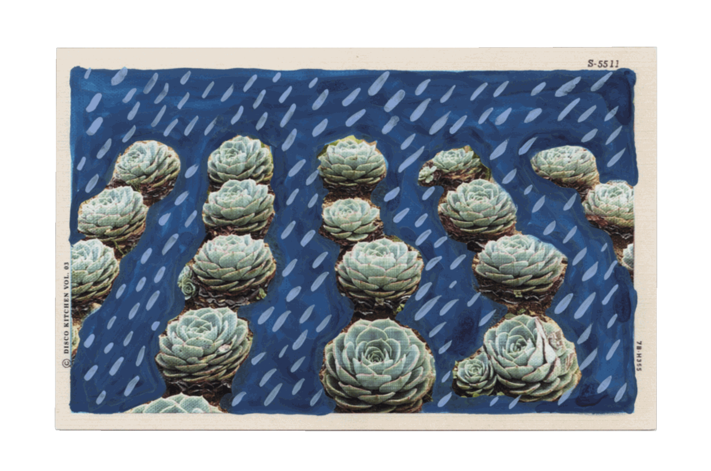 WHAT THE BAHA'I BOY SAID TO THE MIRROR by Matt Pasca