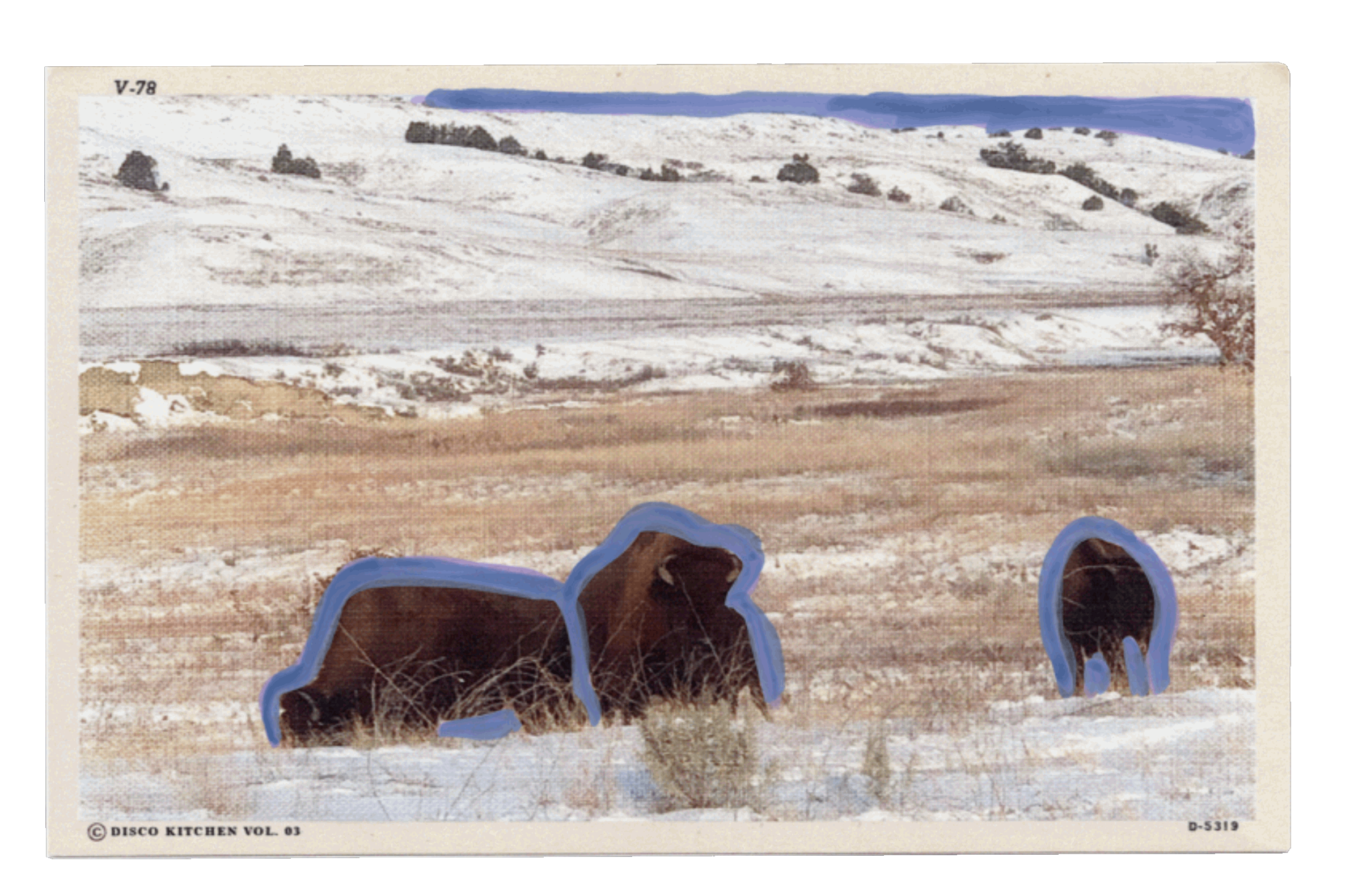 CURLY GURLZ SALON by Eileen Nittler