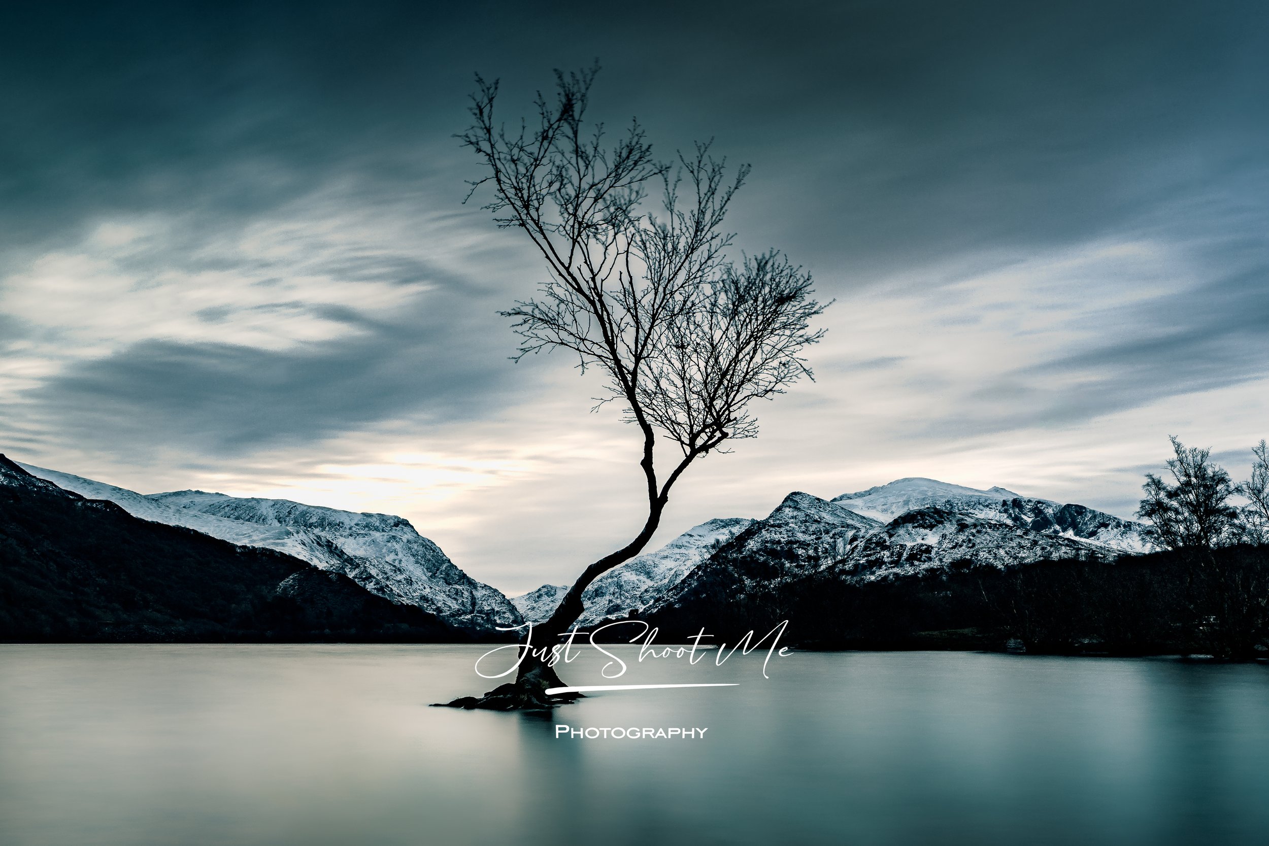 Lone Tree.jpg