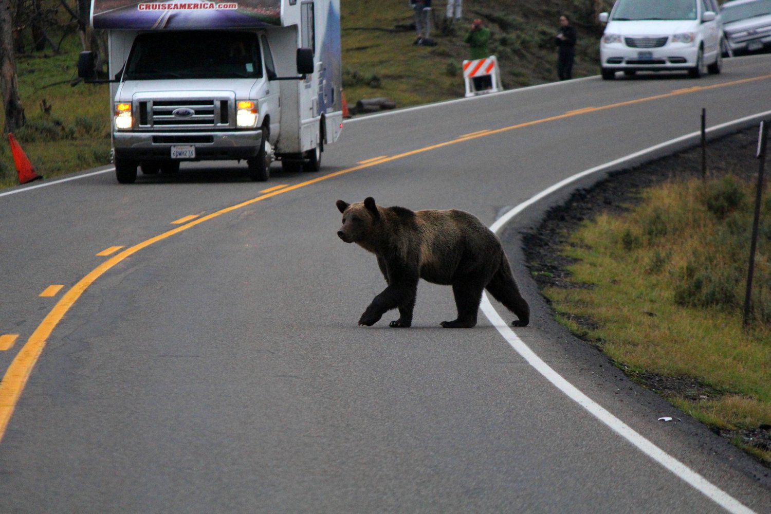 Bears on the Road — Get Bear Smart
