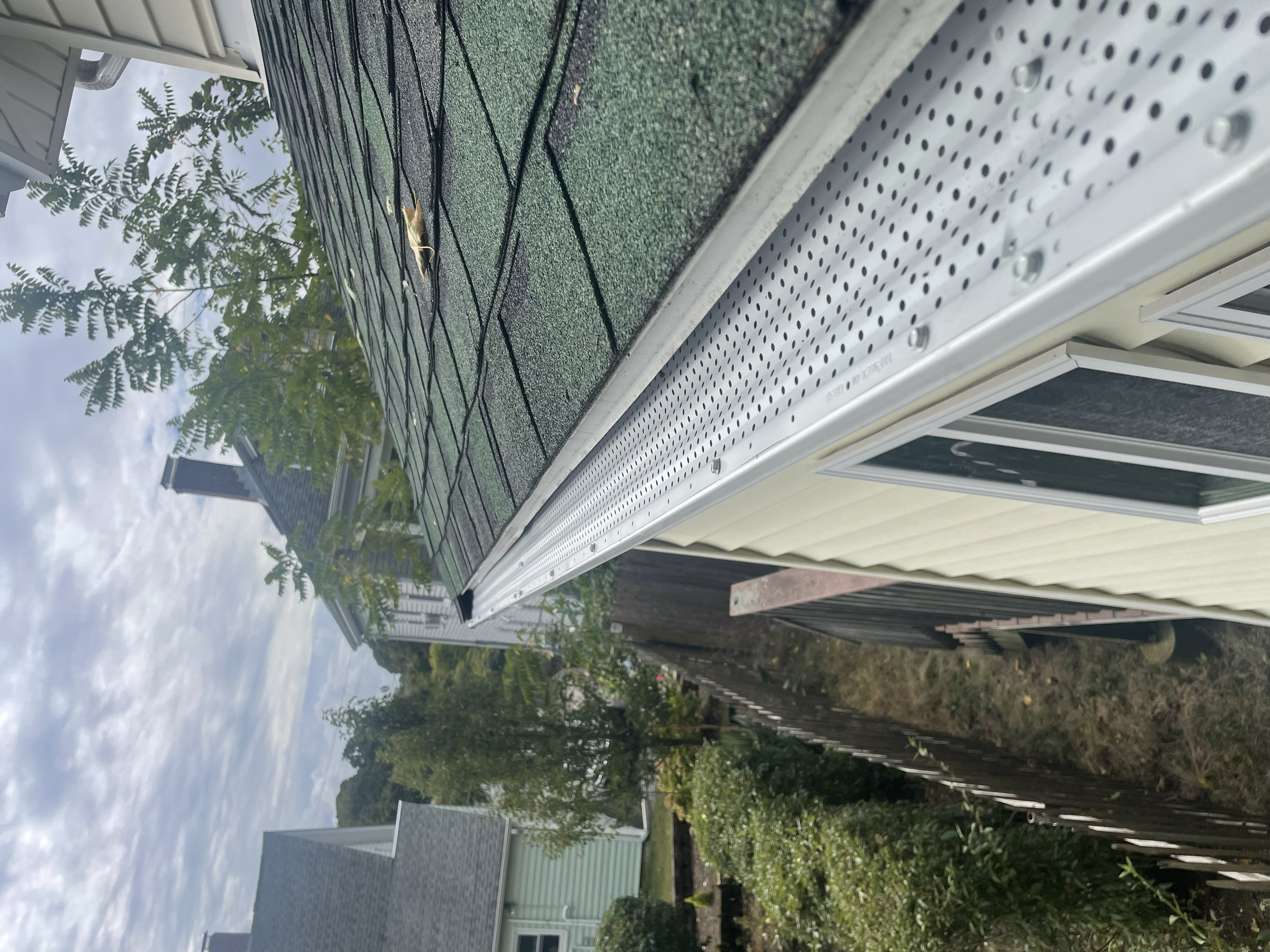 Leaf-covered roof and gutter with nearby tree branches.