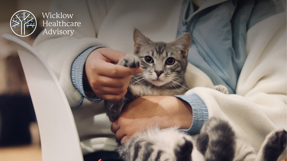 Strategic Price Increases — Protect Your Veterinary Hospital’s Profit Margin (and Still Sleep at Night)