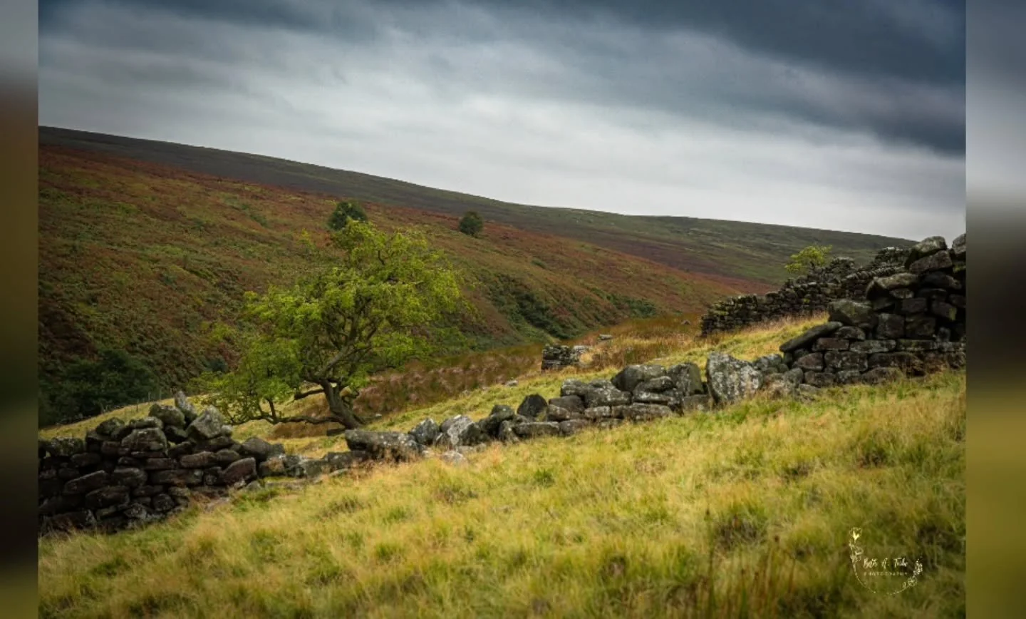 The beautifully moody atmosphere of the moorland. 
.
.
.
#brontecountry #brontewaterfall #moorland #moors #moody #Yorkshire #westyorkshire #godsowncountry