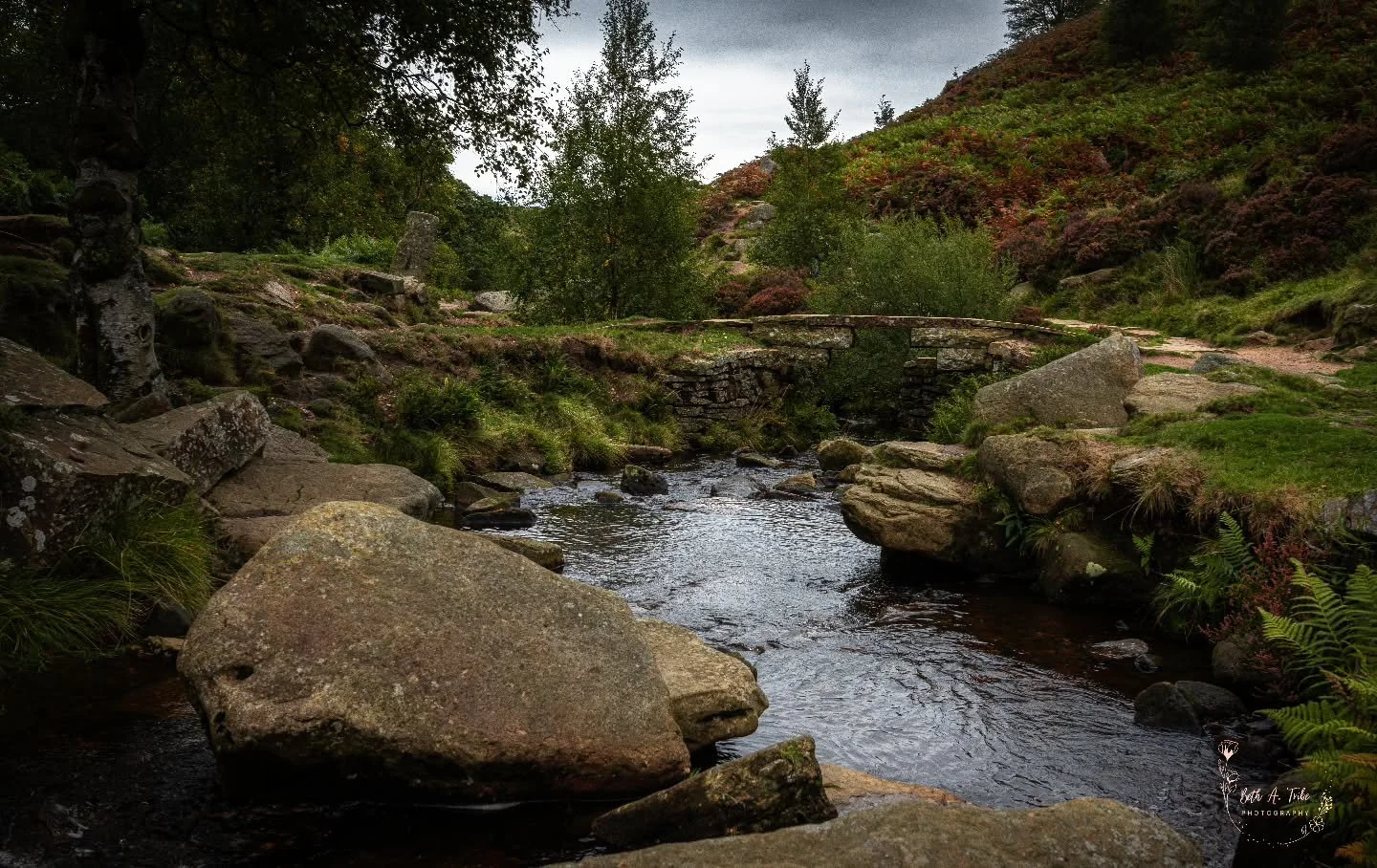 Sladen Beck running under the Bront&euml; Bridge on the Haworth Moor.
.
.
.
#brontecountry #brontewaterfall #haworthuk #haworthmoor #brontebridge #sladenbeck #westyorkshire #yorkshire #godsowncountry
