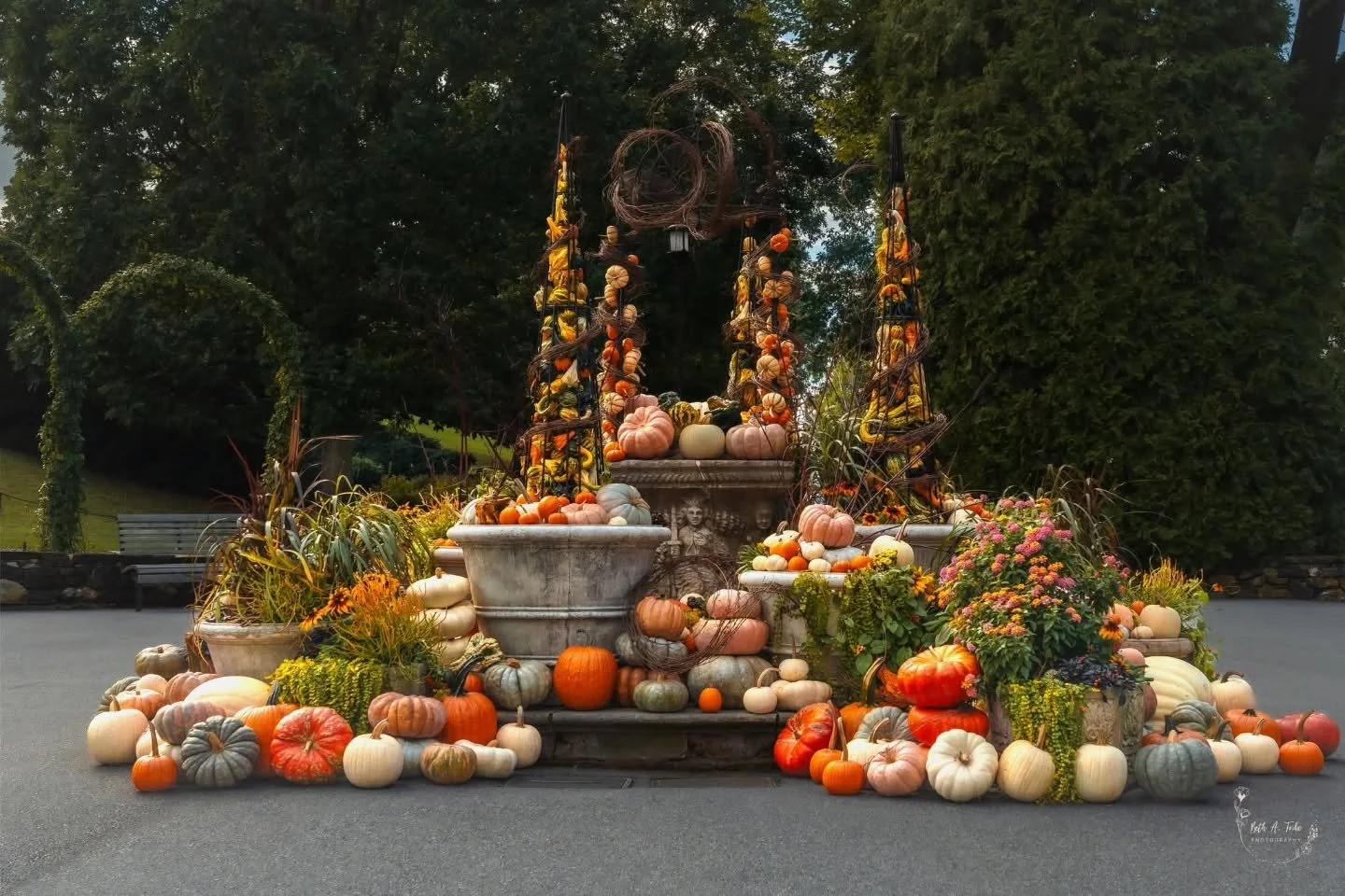 Timed it just right so no people in the shot! 

Longwood has done it again.  Their fall displays are truly capture the spirit of this time of year. 
.
.
.
#longwoodgardens #longwoodgardensautumn #autumn #autumncolors #autumnvibes ##fallvibes #fallcol