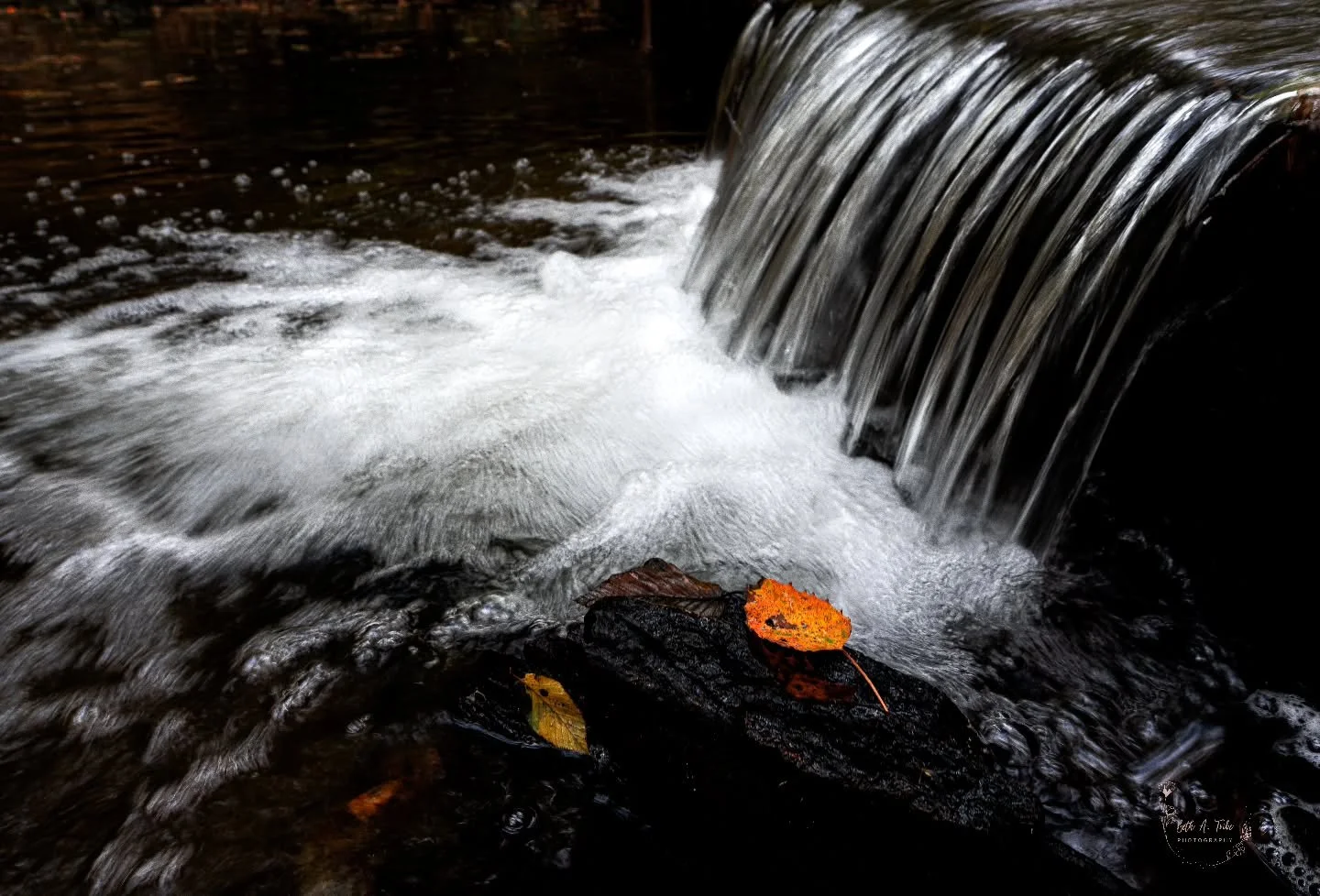 Autumn means waterfall season for me. Although this is just a small drop for a local stream, I lived the pop of color from the fallen leaves.
.
.
.
#autumn #autumncolors #autumnvibes #fall #fallvibes #fallcolors #fallingleaves #waterfall #sony #sonya