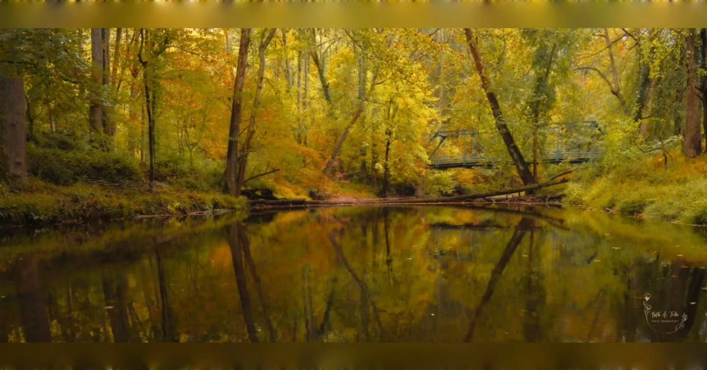 Autumn Reflections 

Little Gunpowder Falls with the Bottom Road Steel Bridge in the distance.
.
.
.
#autumn #autumncolors #autumnvibes #lgp #littlegunpowderfalls #fall #fallvibes #fallcolors #reflection #bottomroadsteelbridge #sony #sonya7ⅳ #sonypho